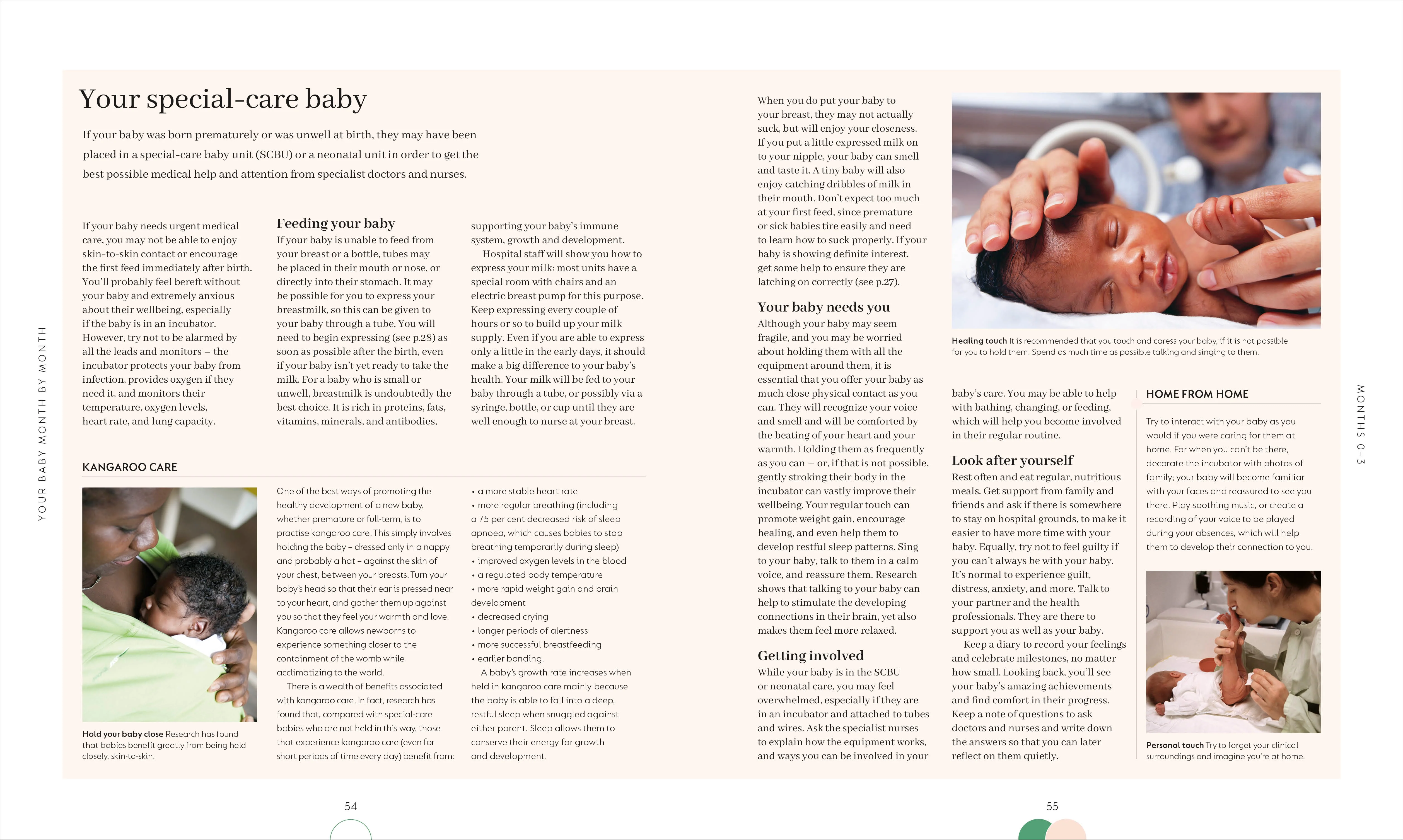 The Month-by-Month Baby Book - Image 11