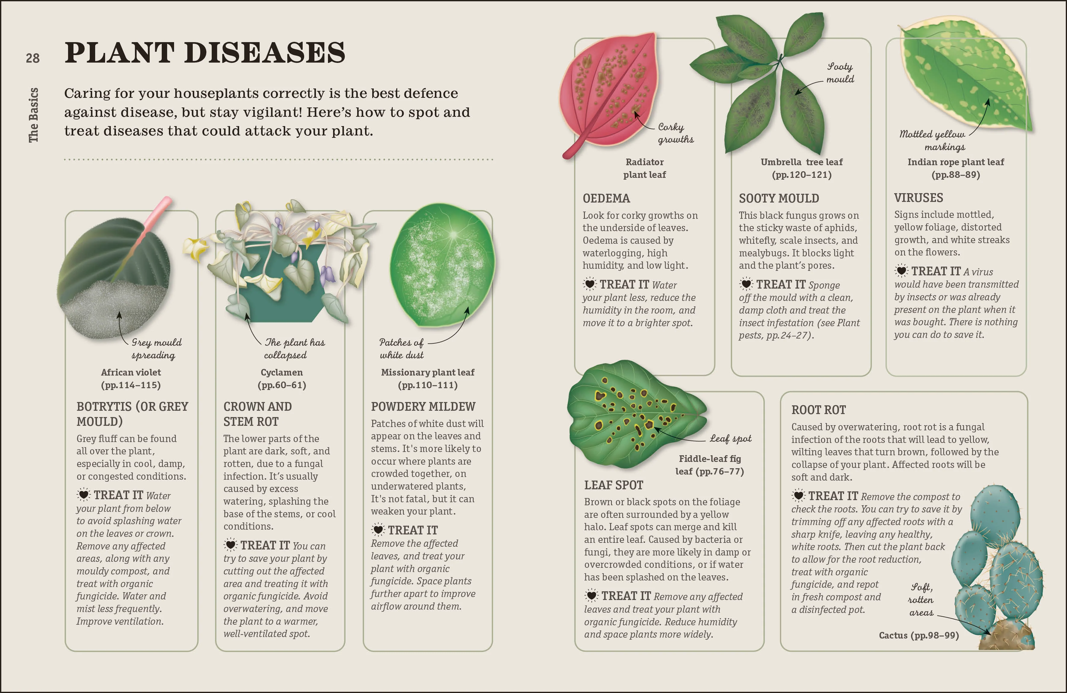 How Not to Kill Your Houseplant - Image 11