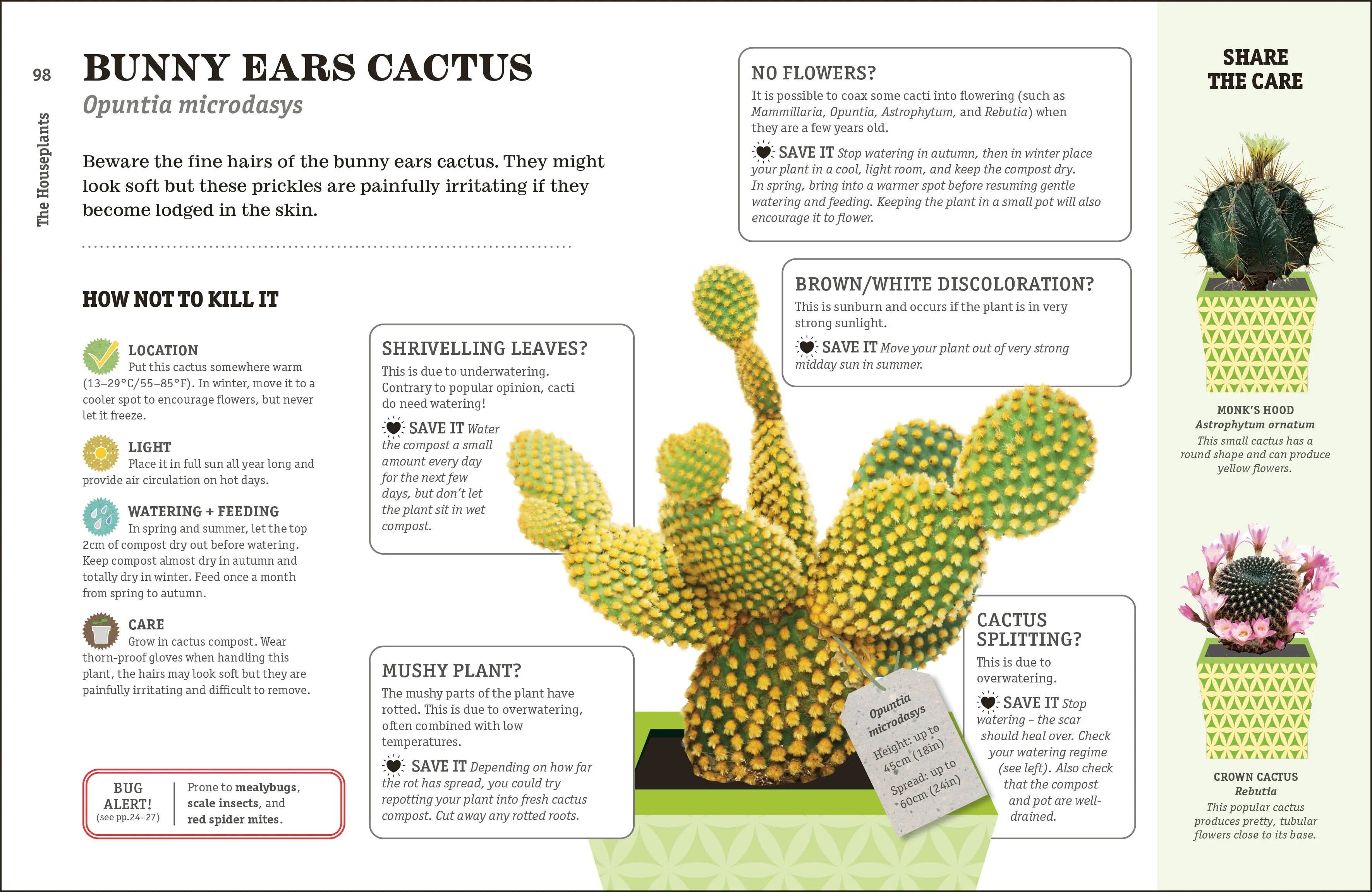 How Not to Kill Your Houseplant - Image 14