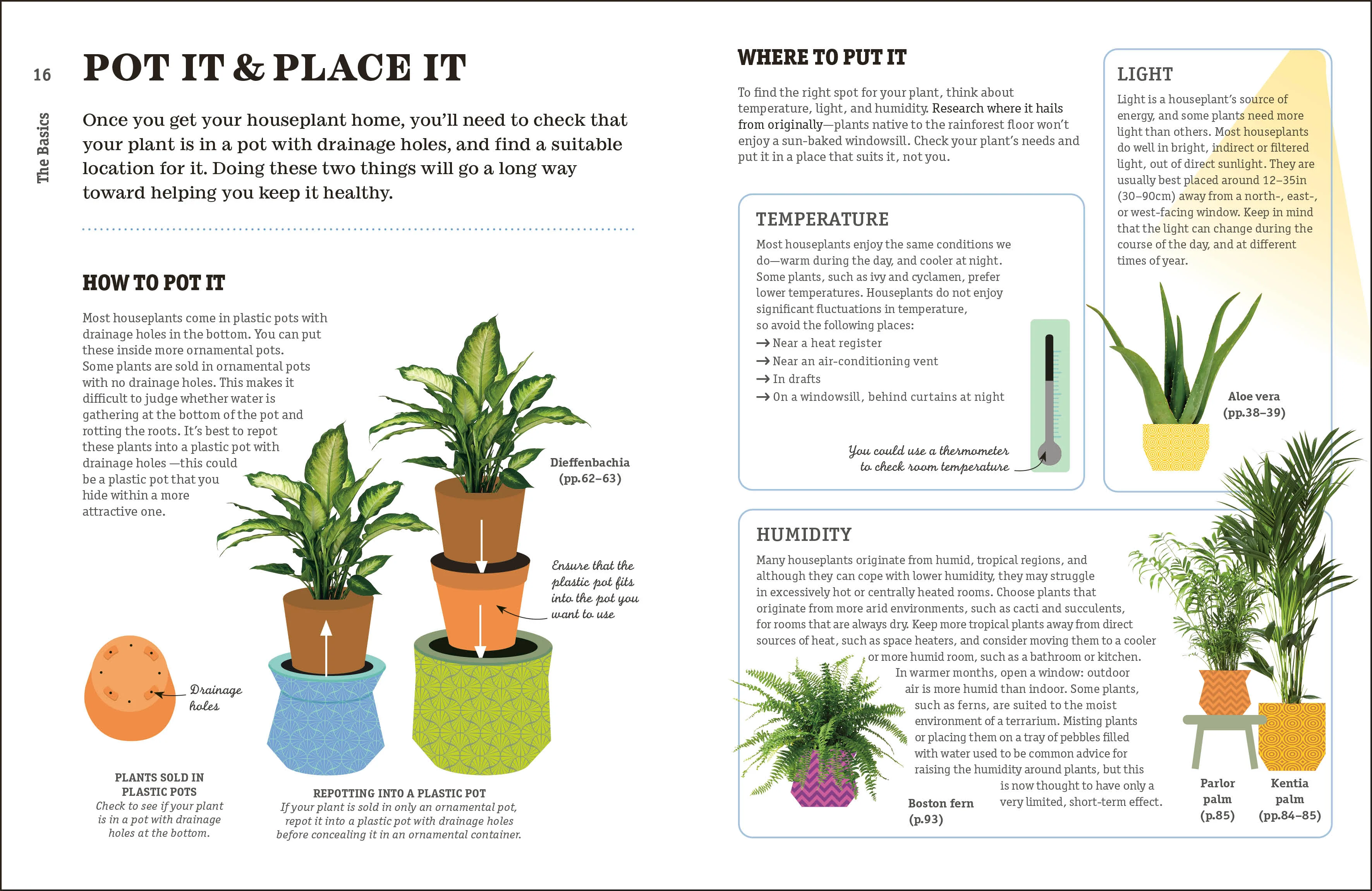 How Not to Kill Your Houseplant - Image 3