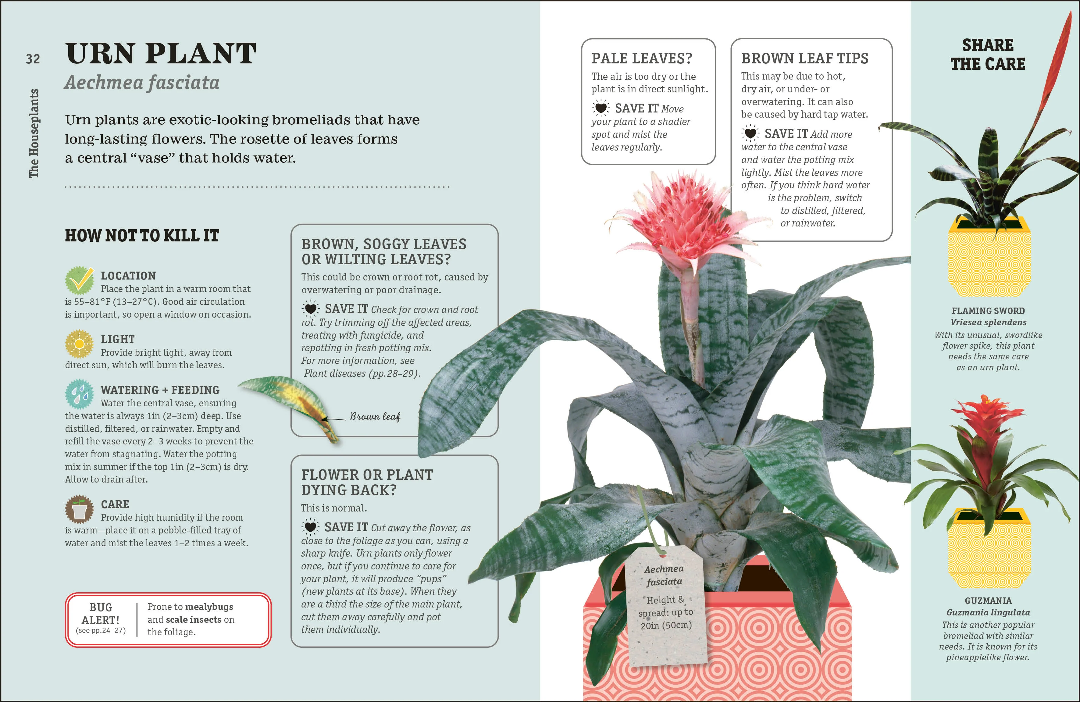 How Not to Kill Your Houseplant - Image 5