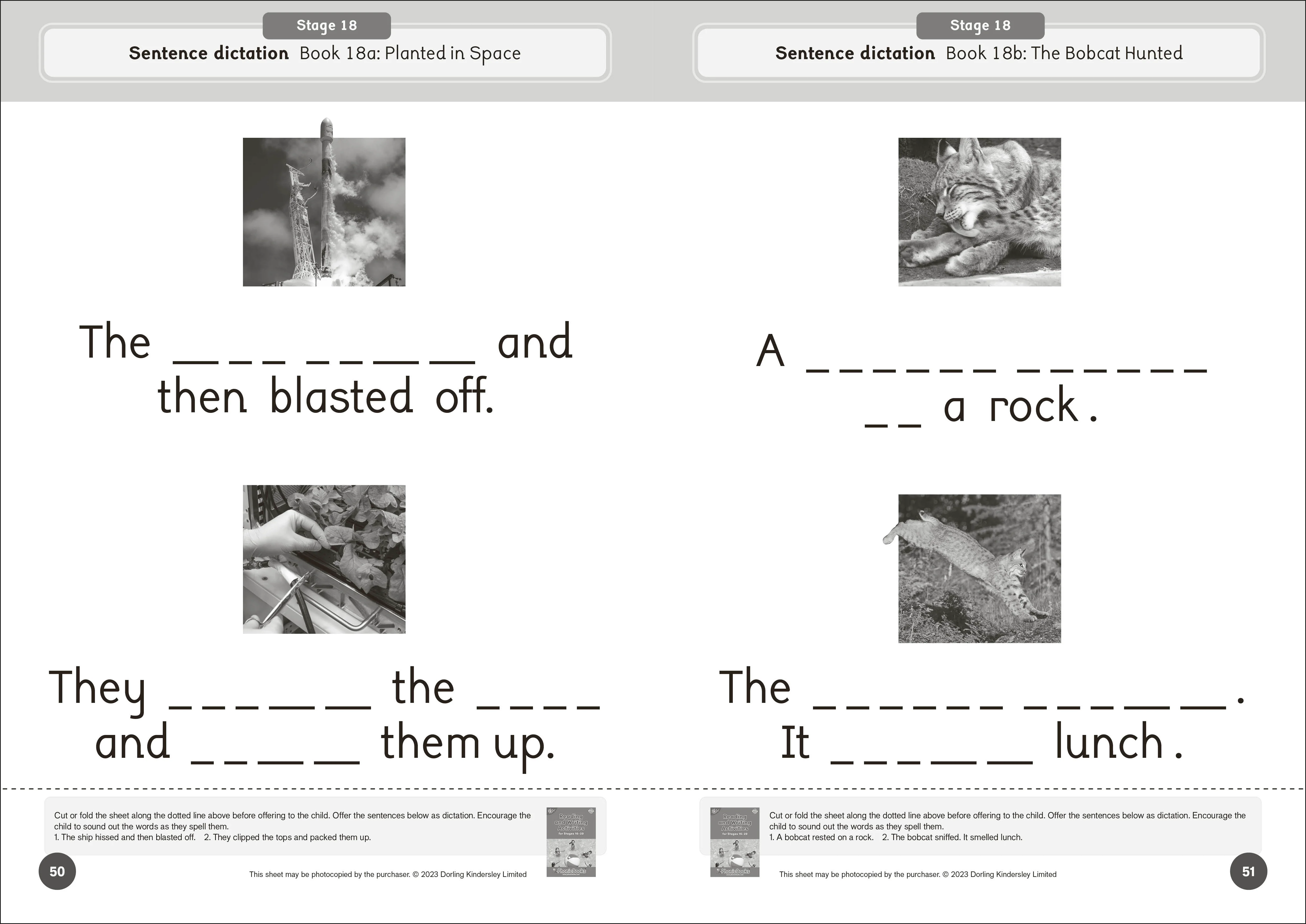 Phonic Books Dandelion World Reading and Writing Activities for Stages 16-20 - Image 2