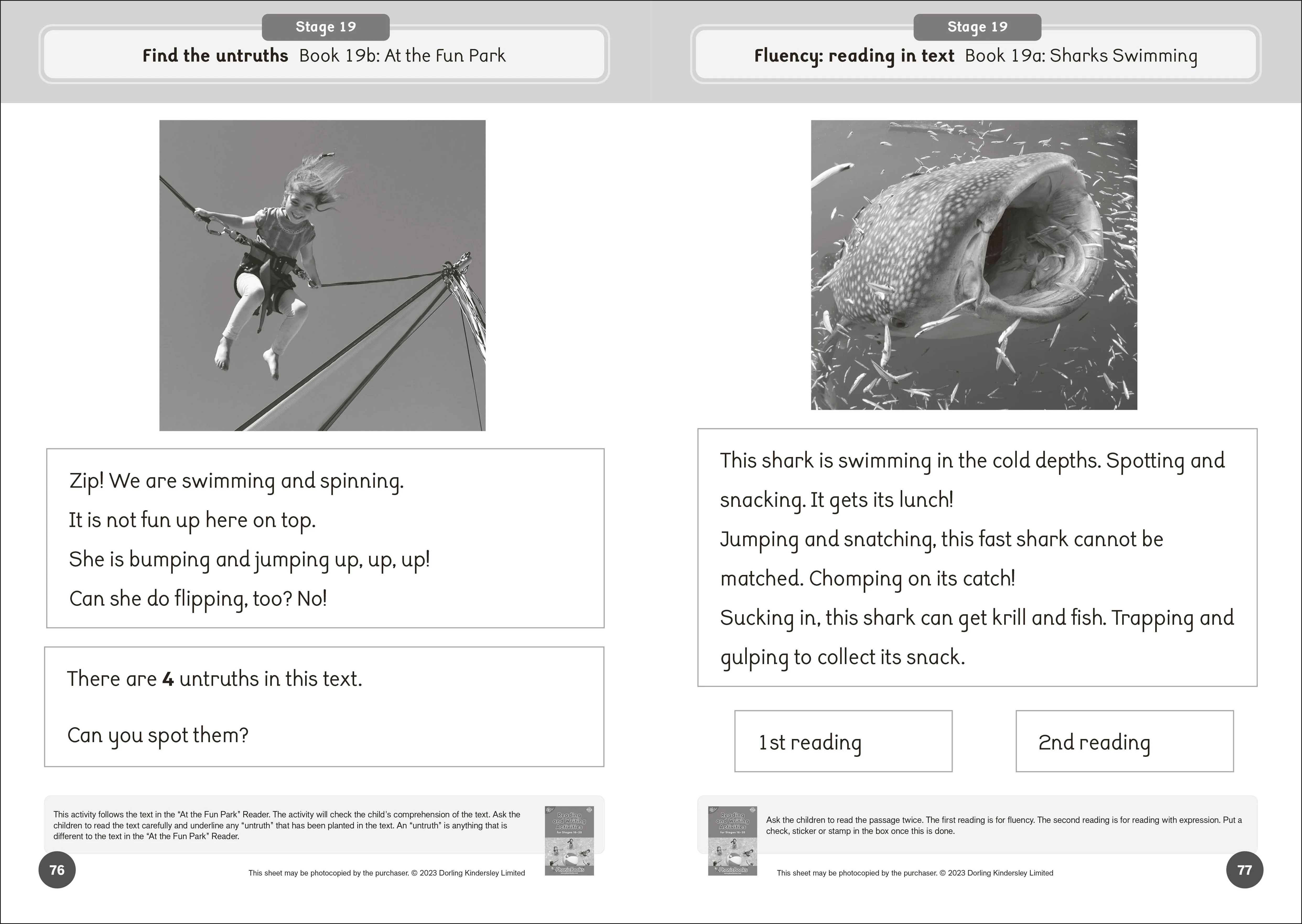 Phonic Books Dandelion World Reading and Writing Activities for Stages 16-20 - Image 3