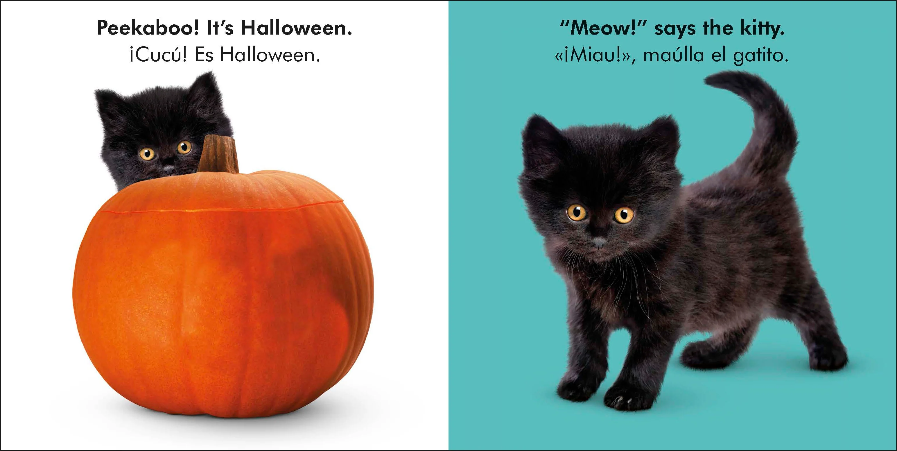 Bilingual Baby Touch and Feel Halloween - Image 2