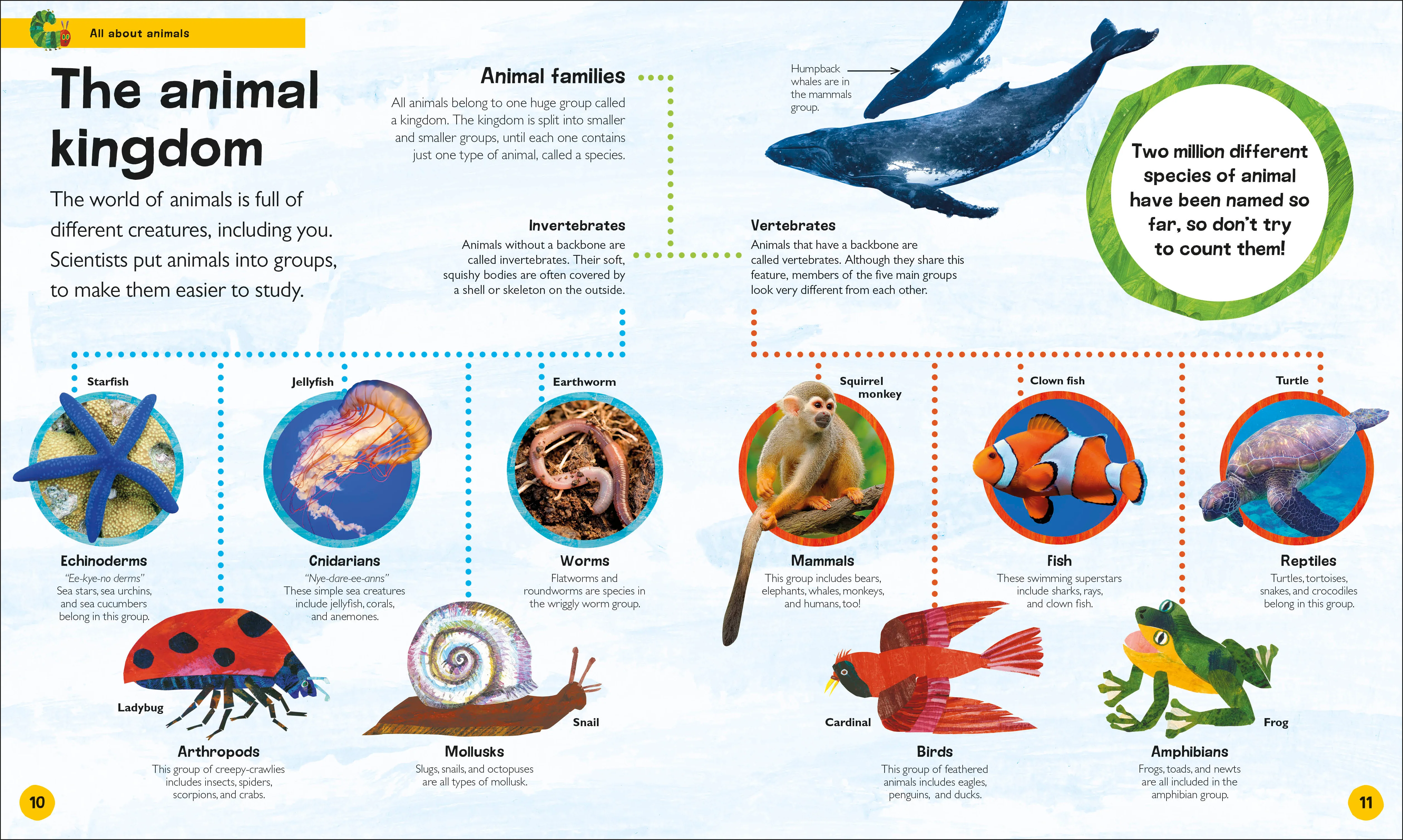 The Very Hungry Caterpillar's Very First Animal Encyclopedia - Image 2