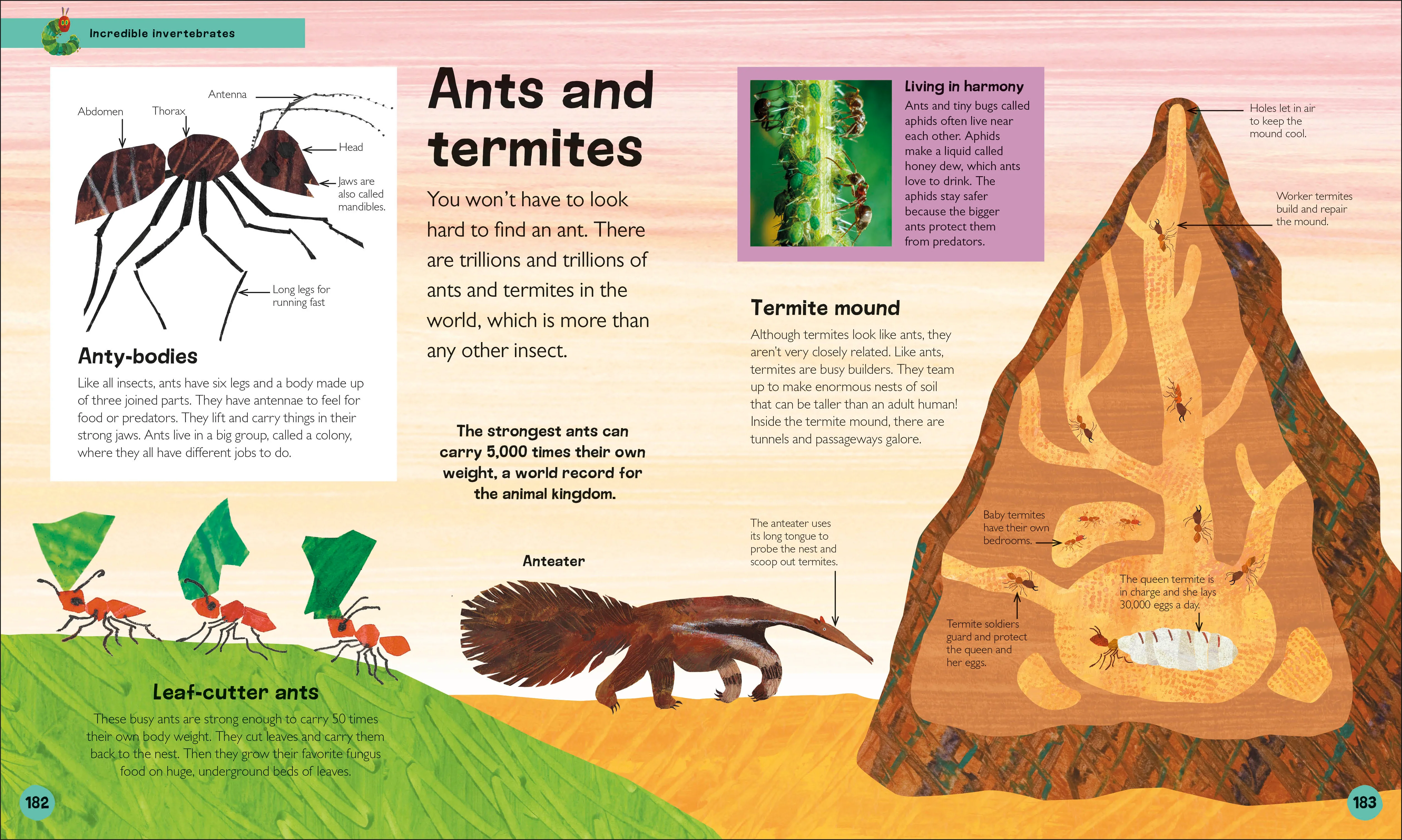 The Very Hungry Caterpillar's Very First Animal Encyclopedia - Image 6