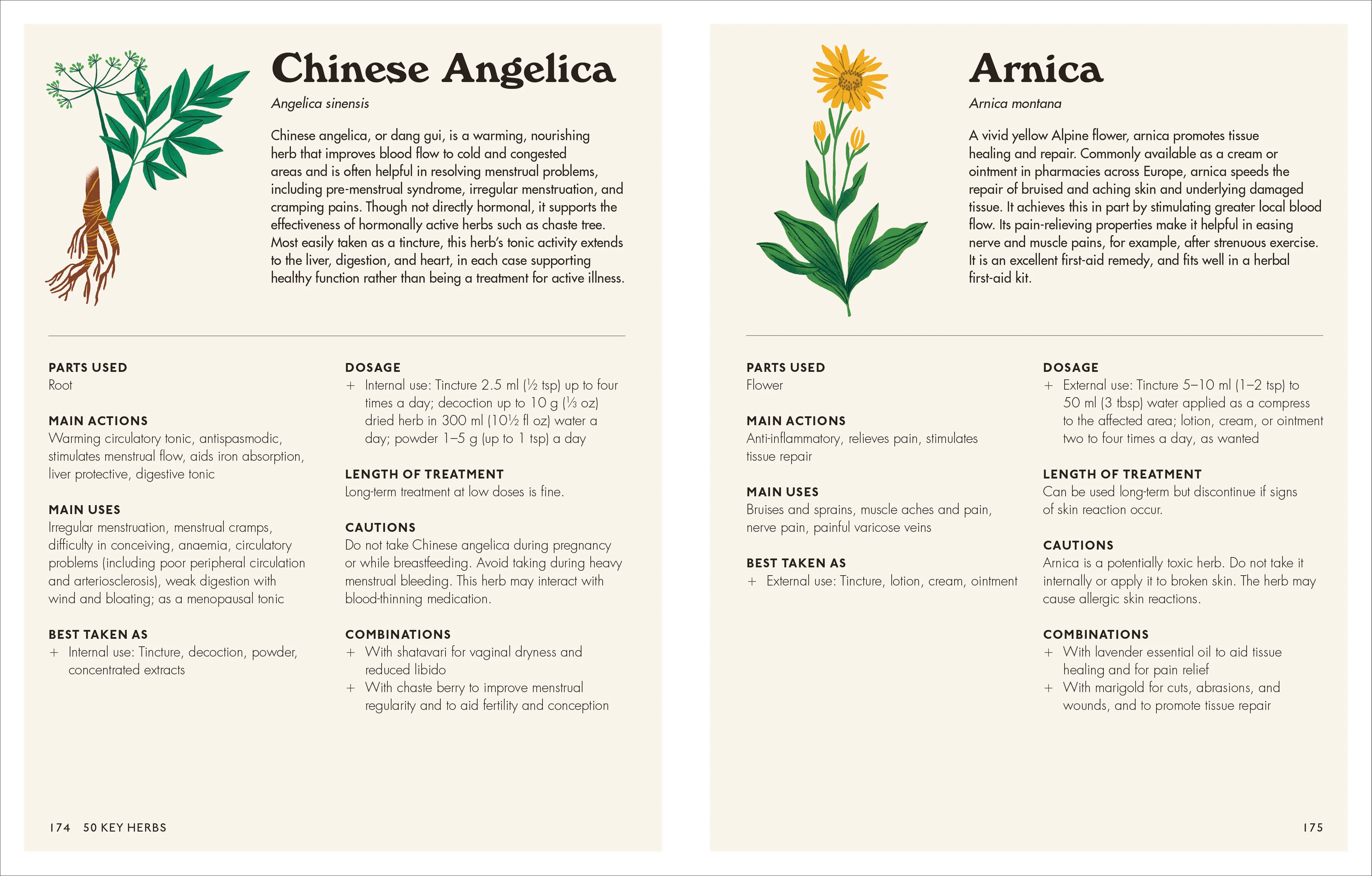 The Home Herbal - Image 12