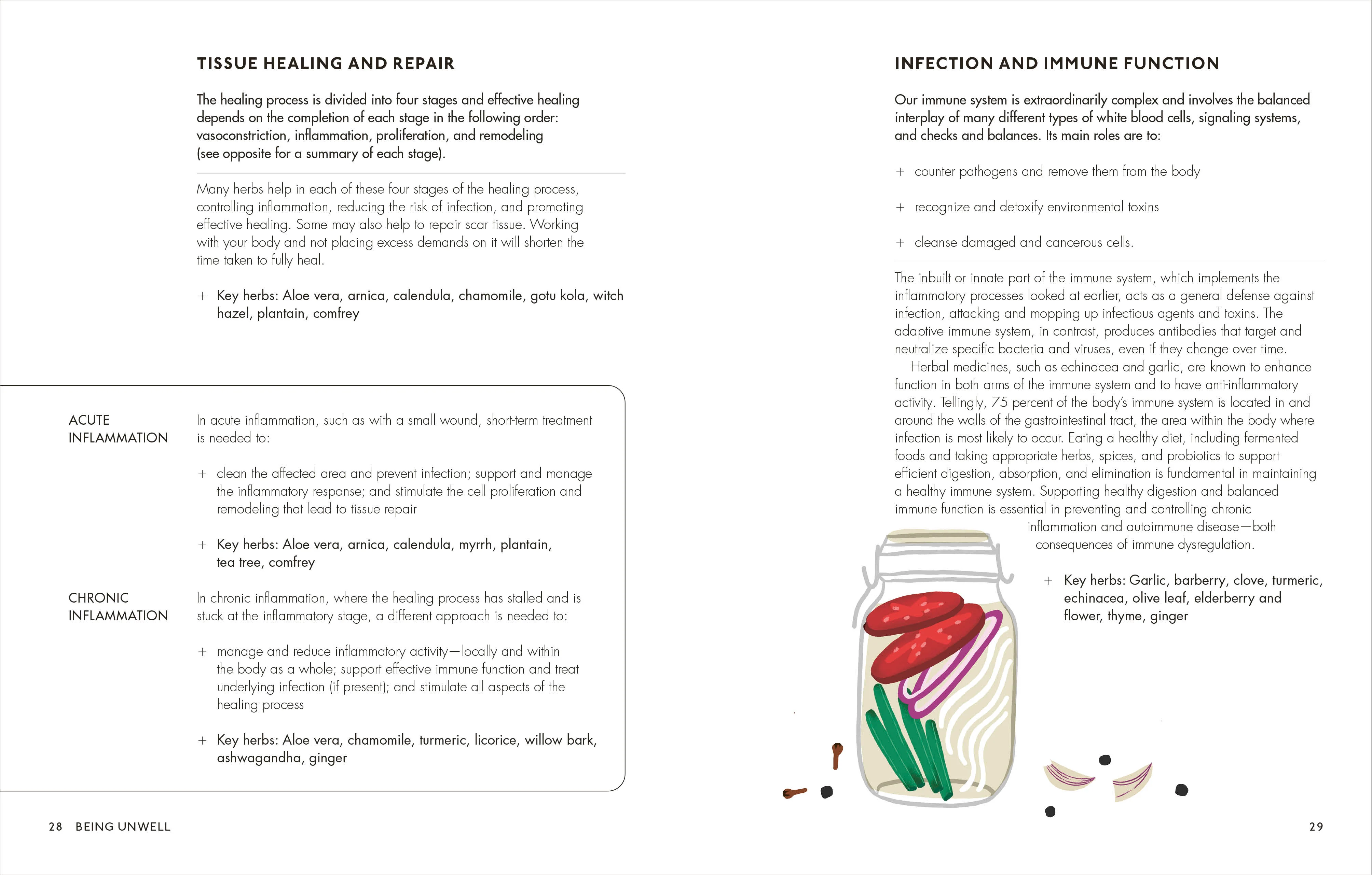 The Home Herbal - Image 2