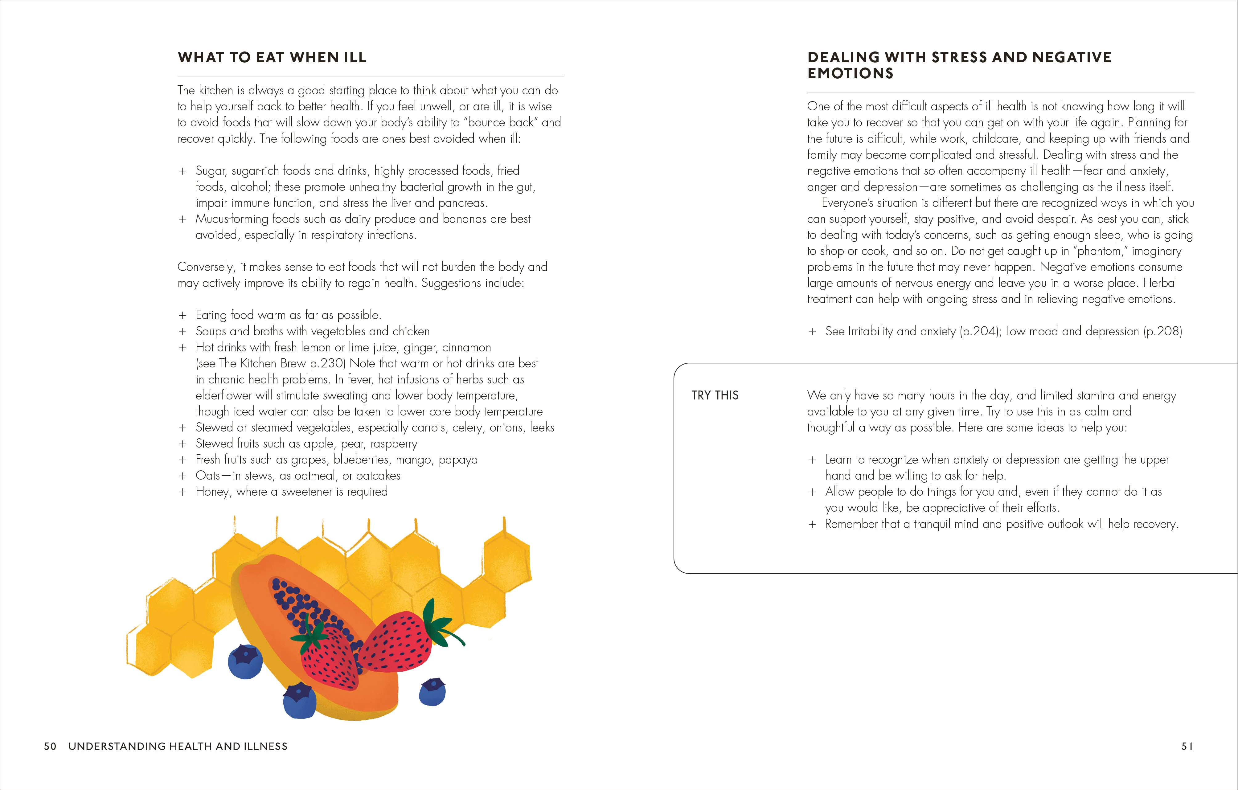 The Home Herbal - Image 3