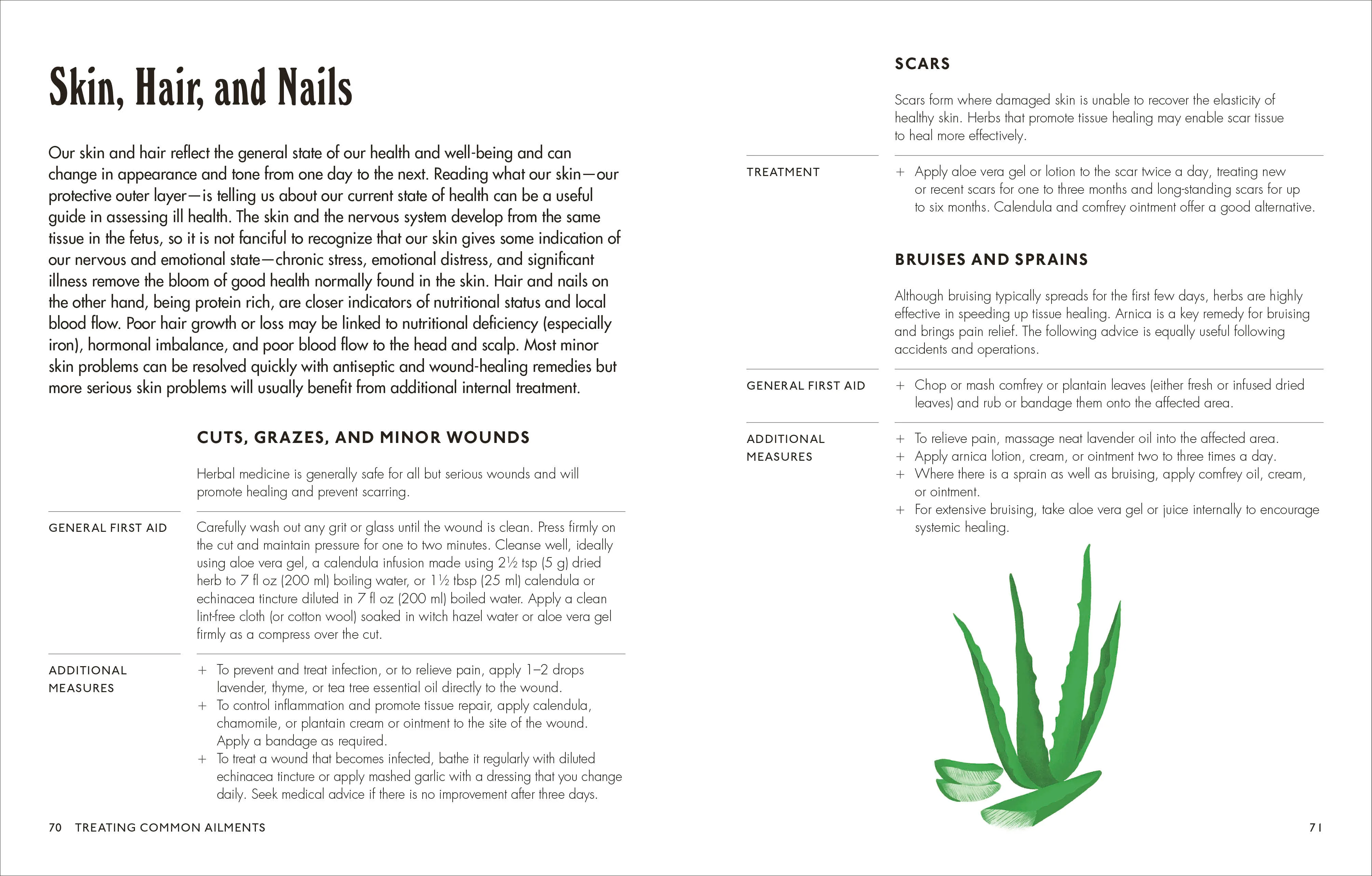 The Home Herbal - Image 5
