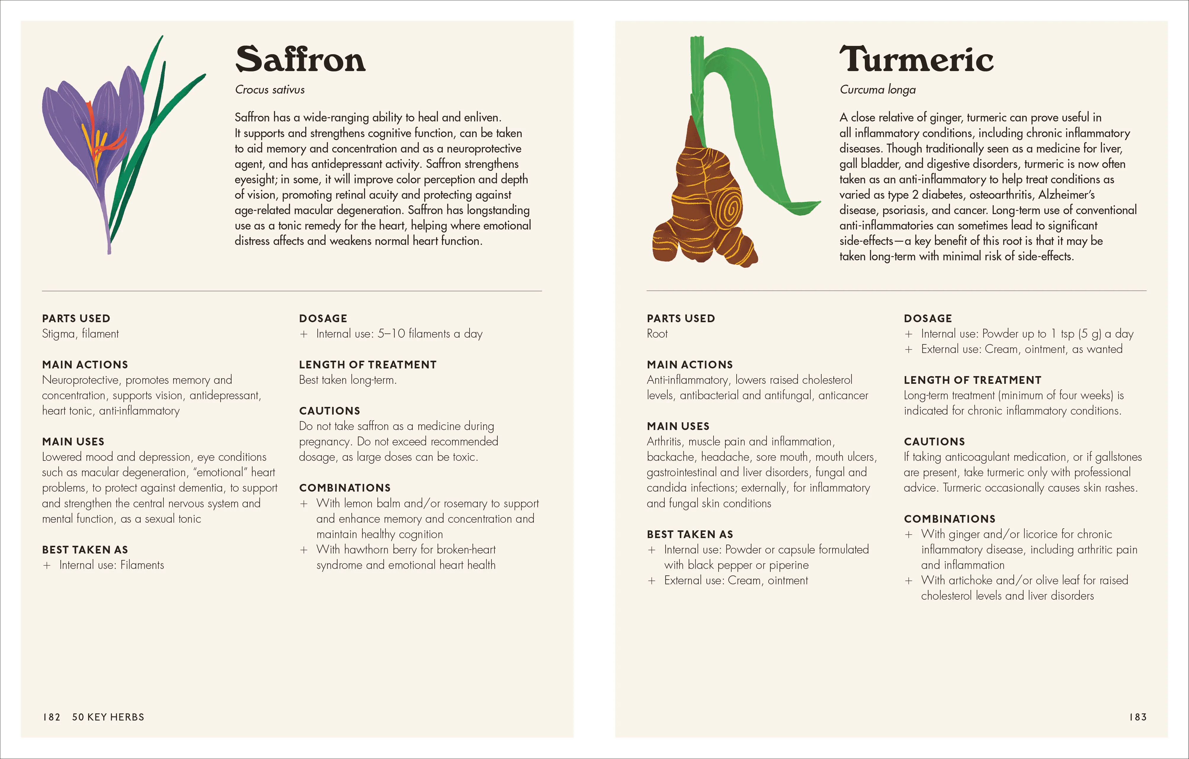 The Home Herbal - Image 7