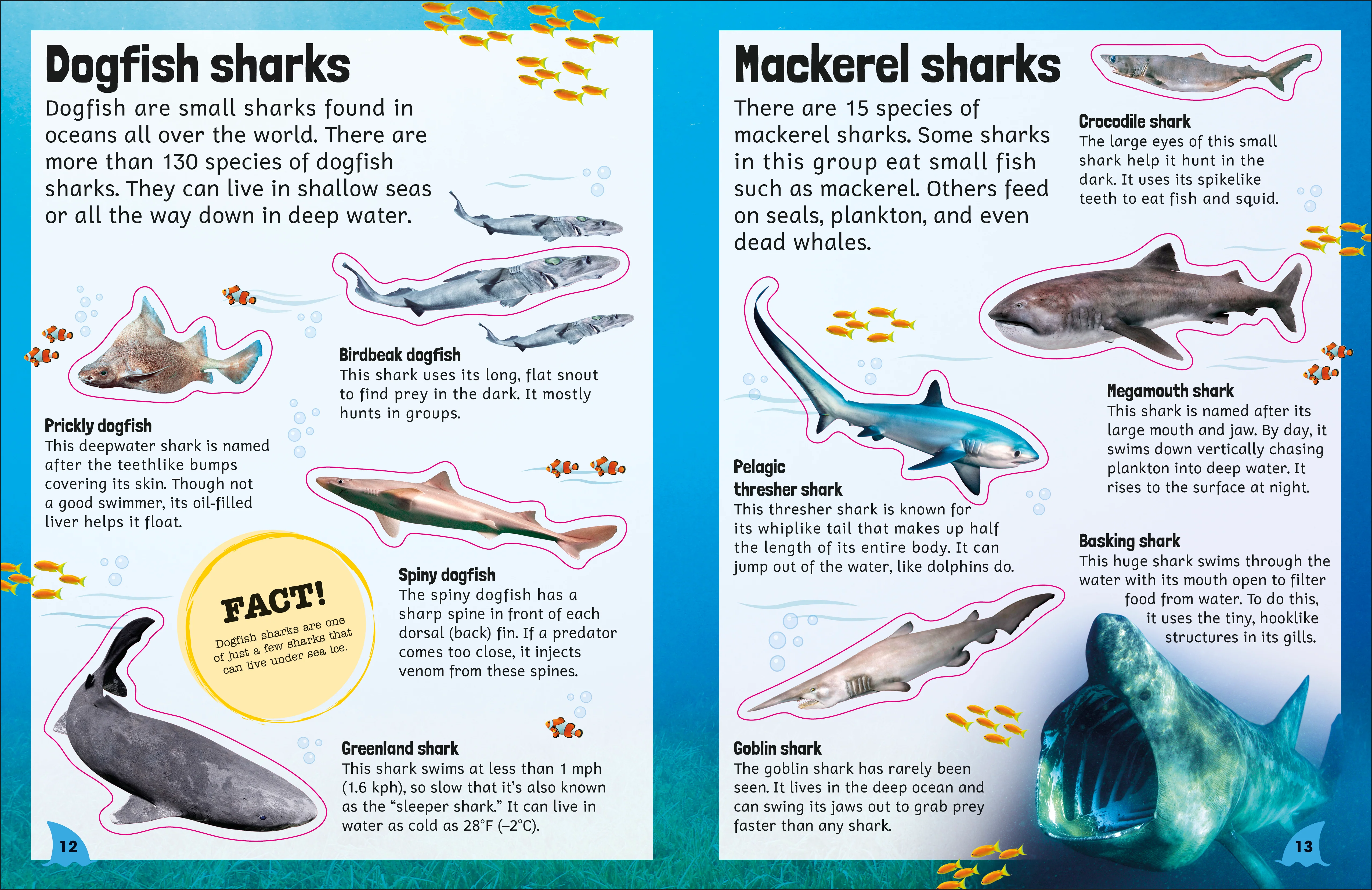 Sticker Encyclopedia Sharks - Image 2