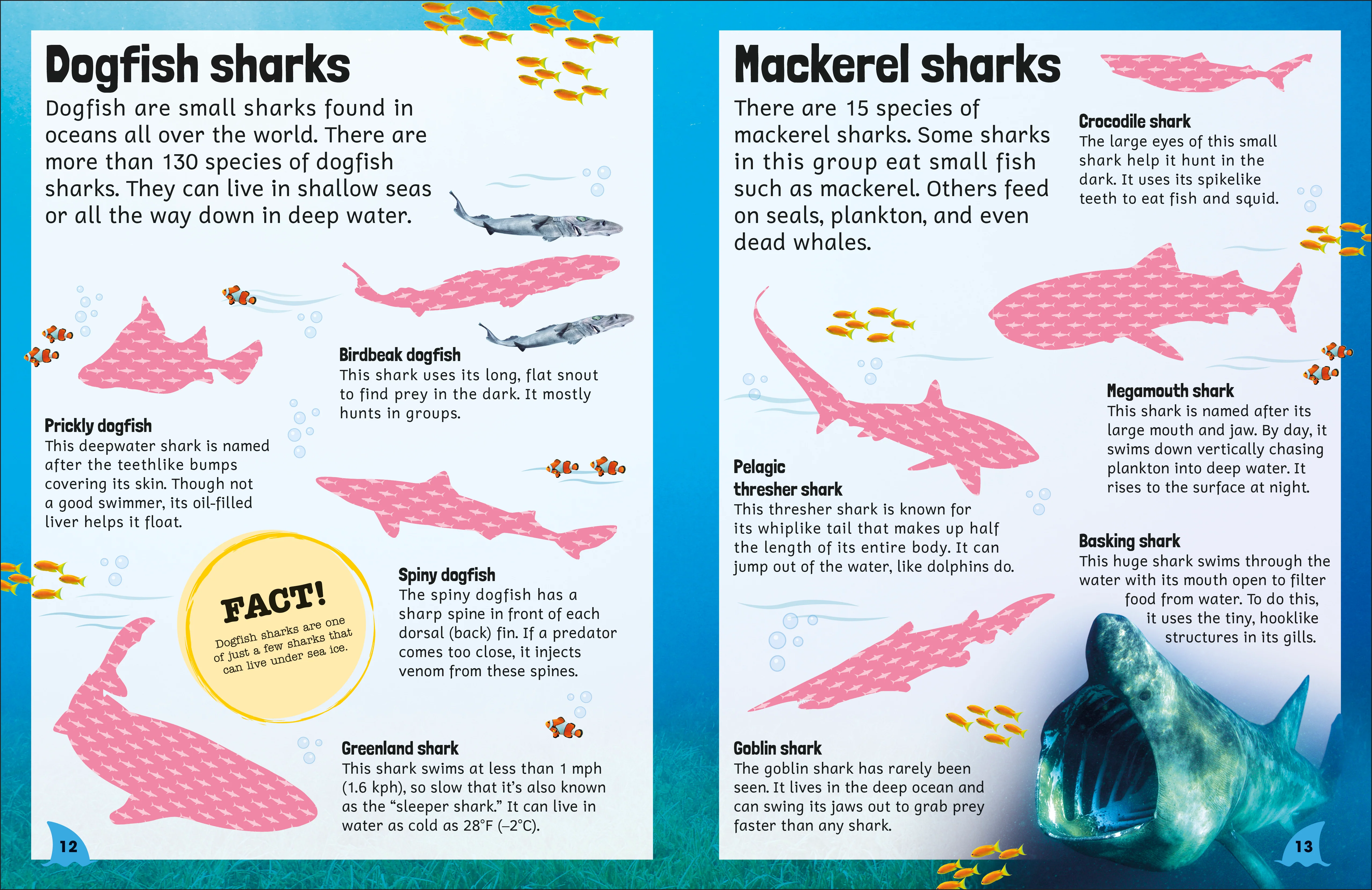 Sticker Encyclopedia Sharks - Image 3