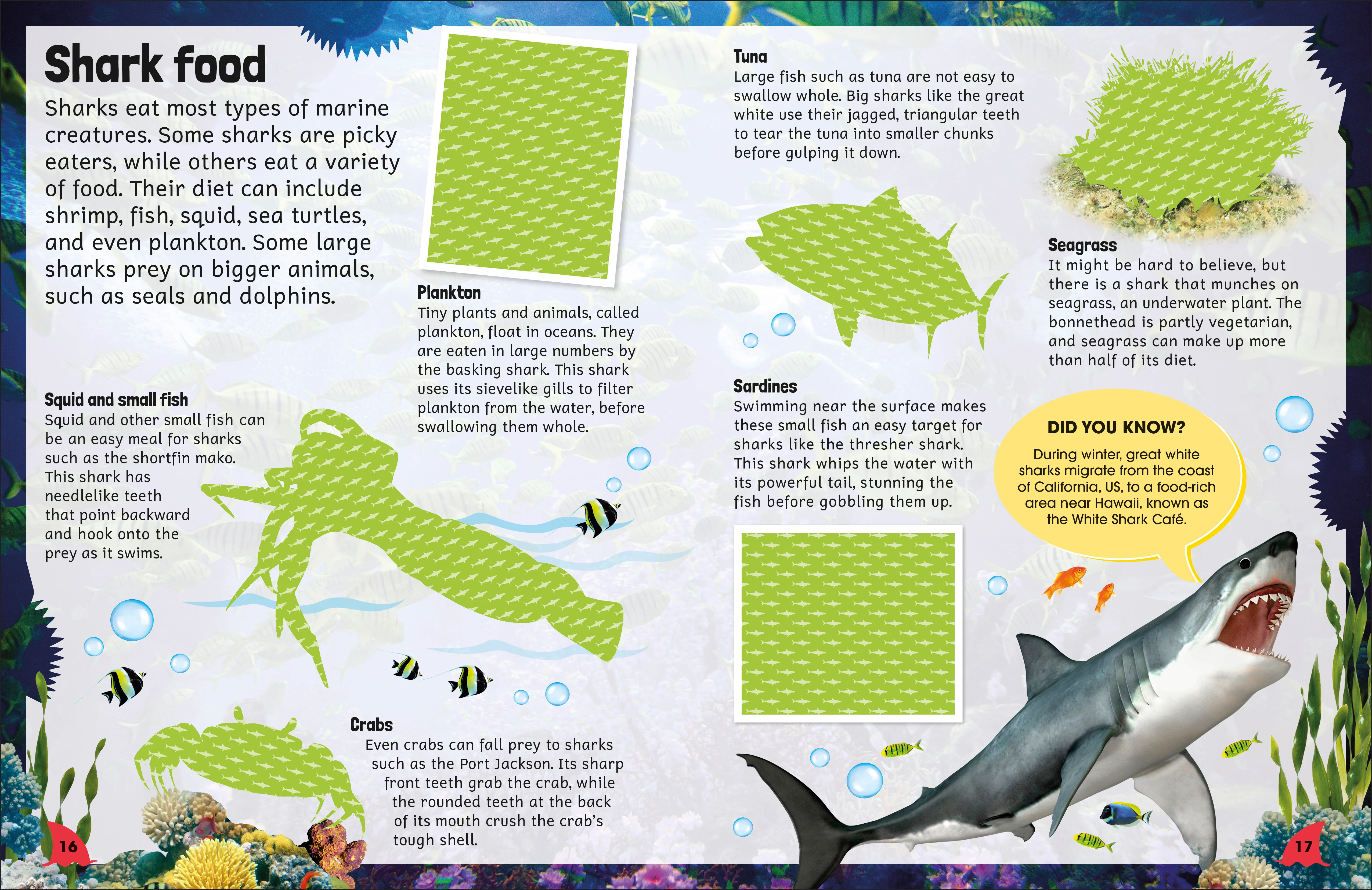 Sticker Encyclopedia Sharks - Image 5