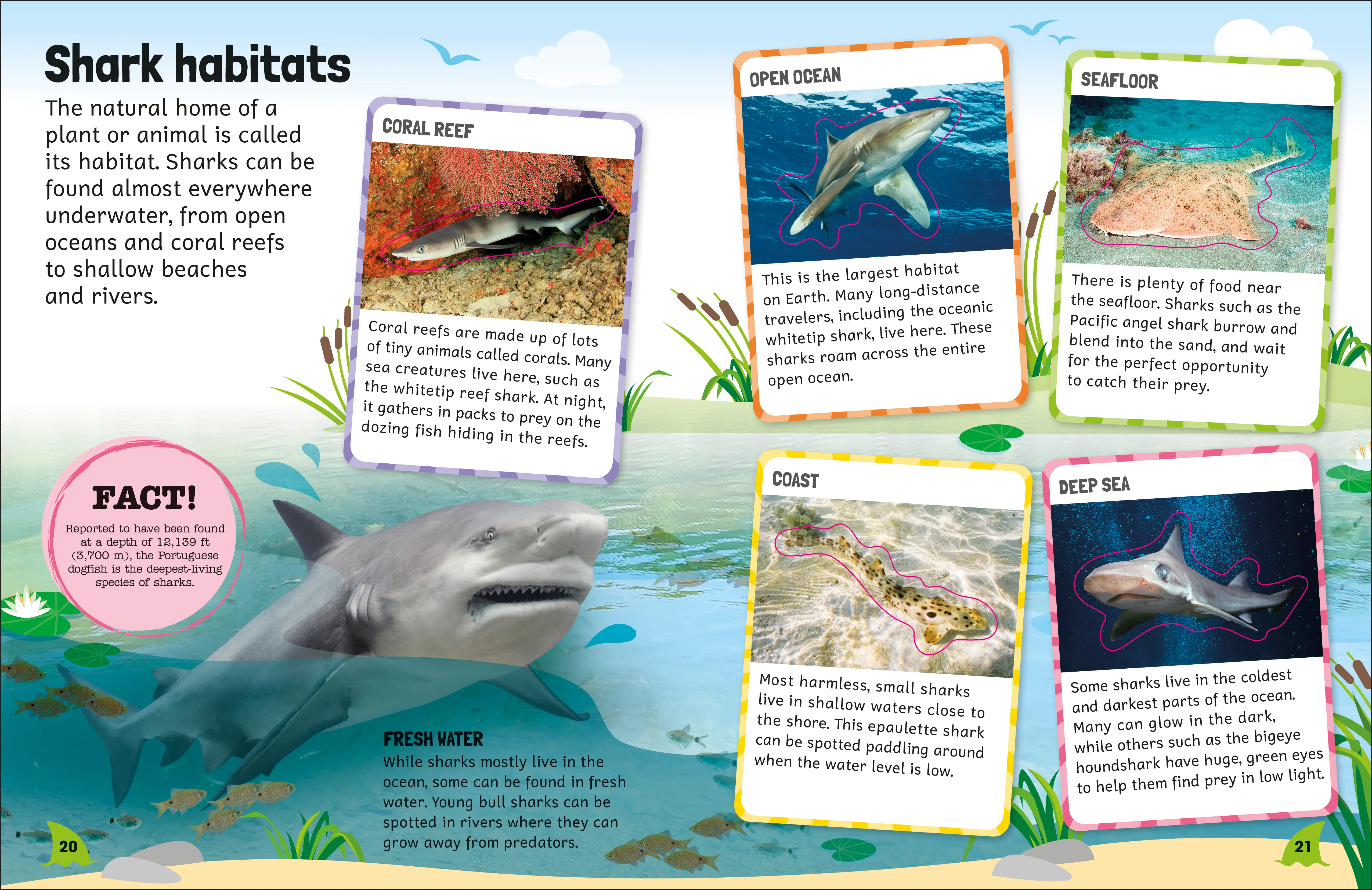 Sticker Encyclopedia Sharks - Image 6
