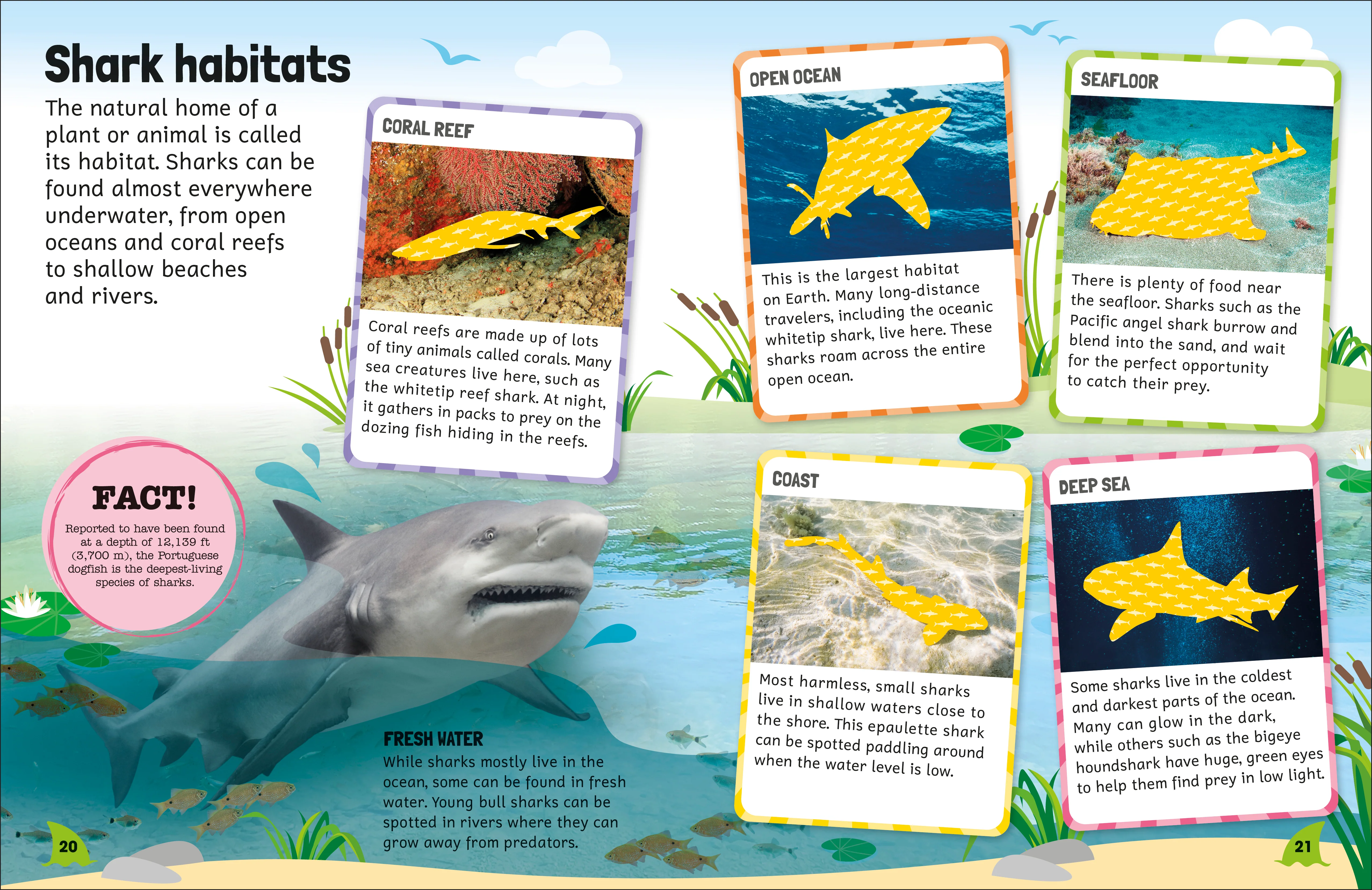 Sticker Encyclopedia Sharks - Image 7