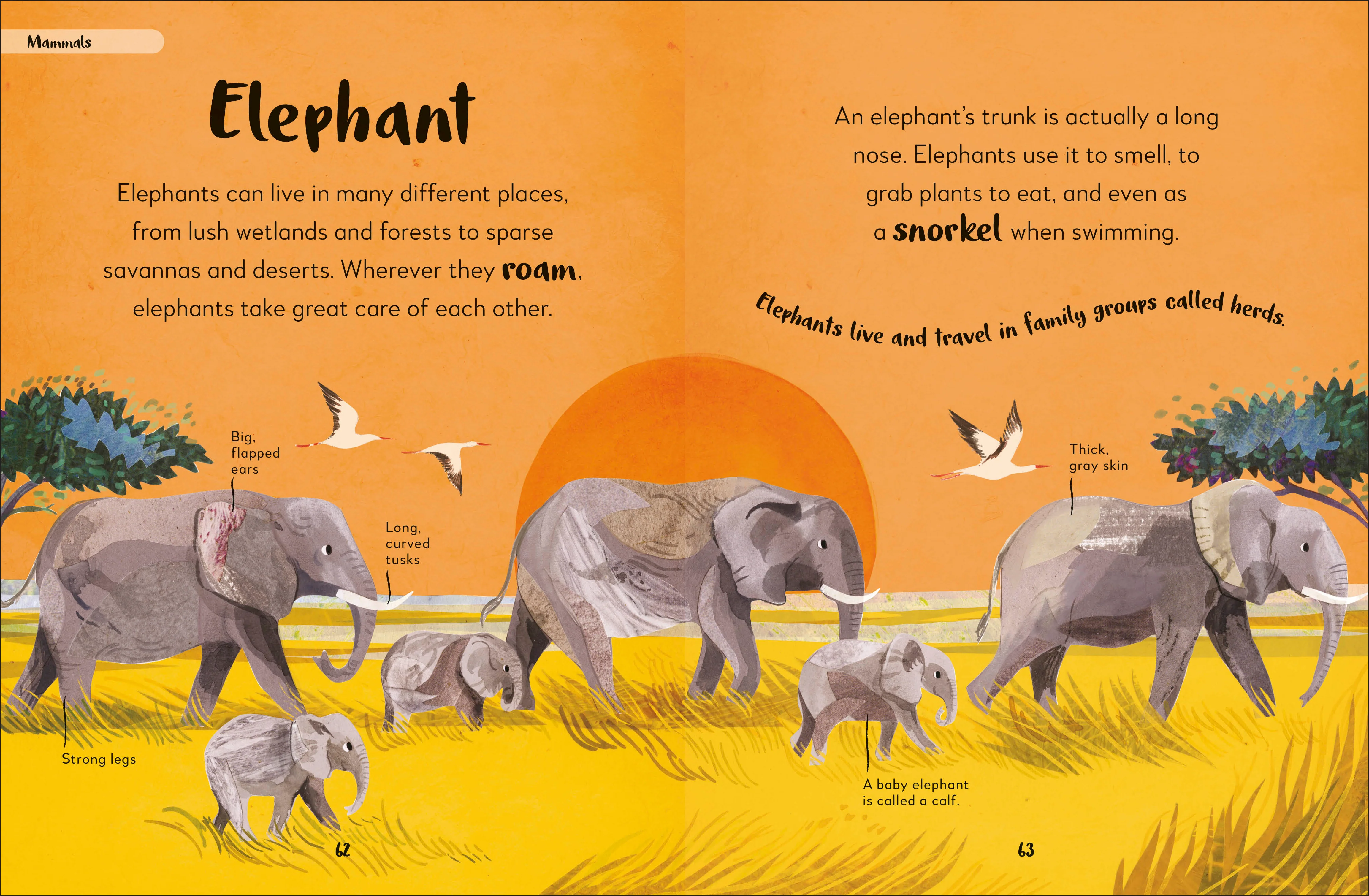 Bedtime Books - Image 3