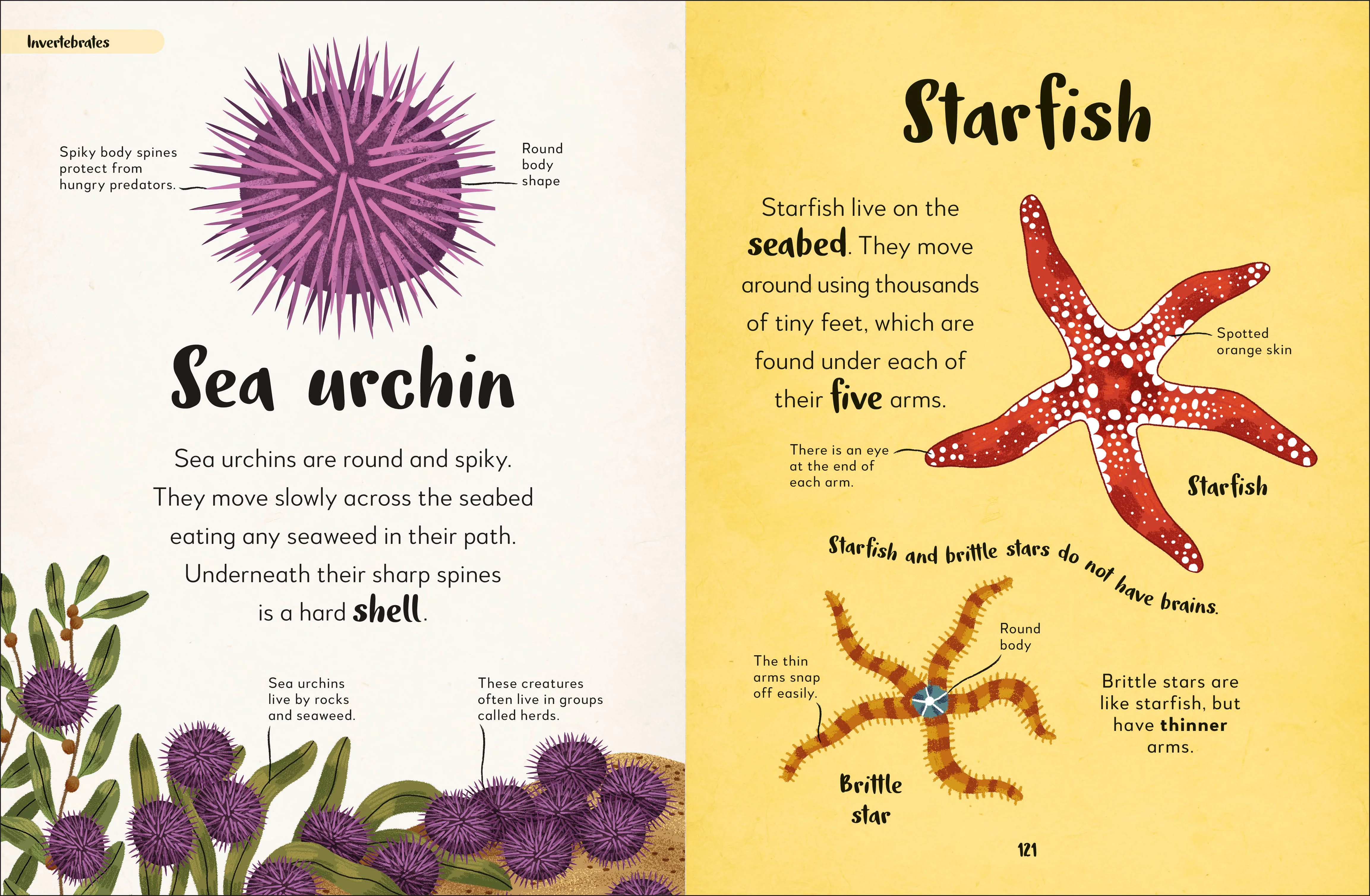 Bedtime Books - Image 8