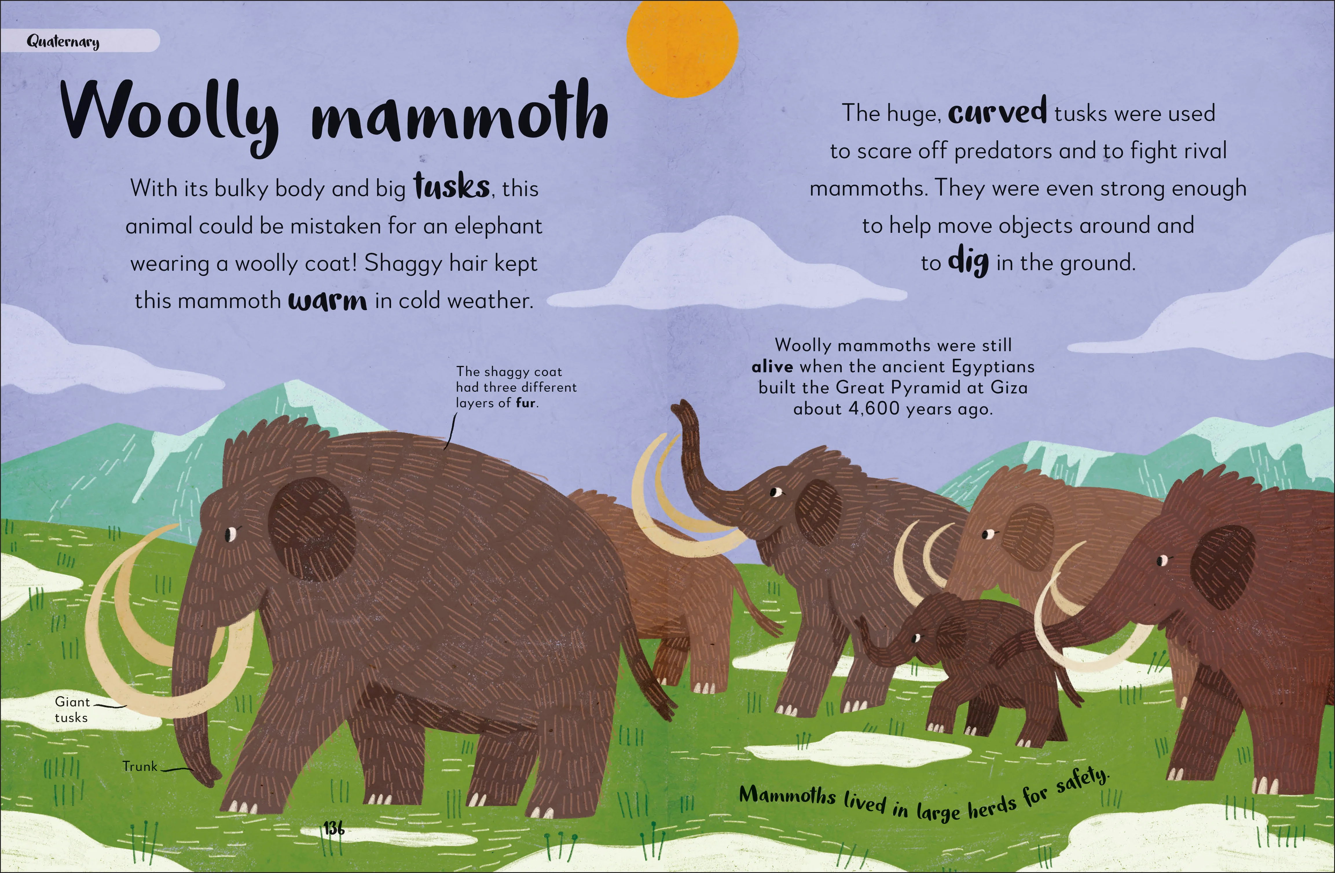 Bedtime Books - Image 9