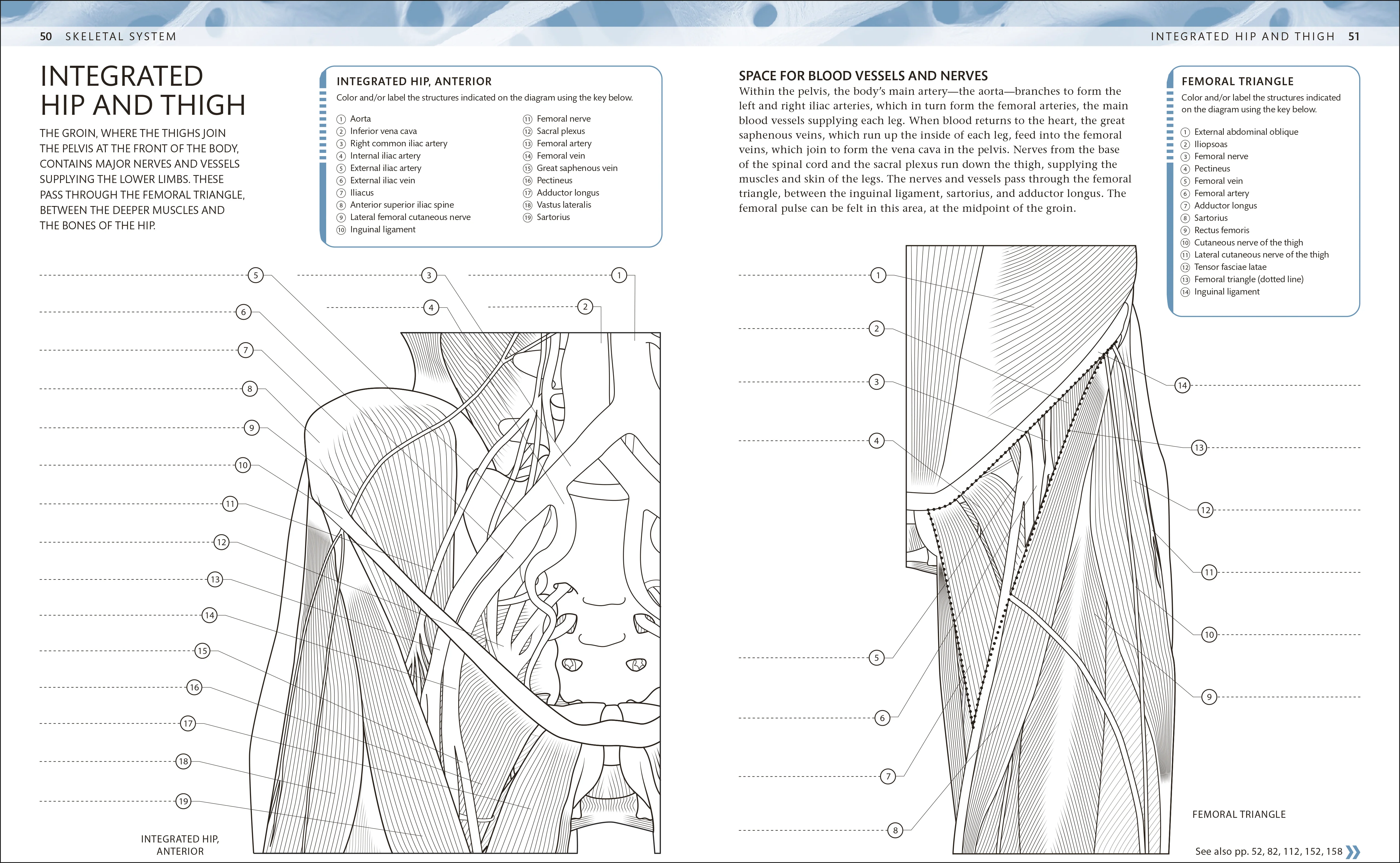 The Human Body Coloring Book - Image 3