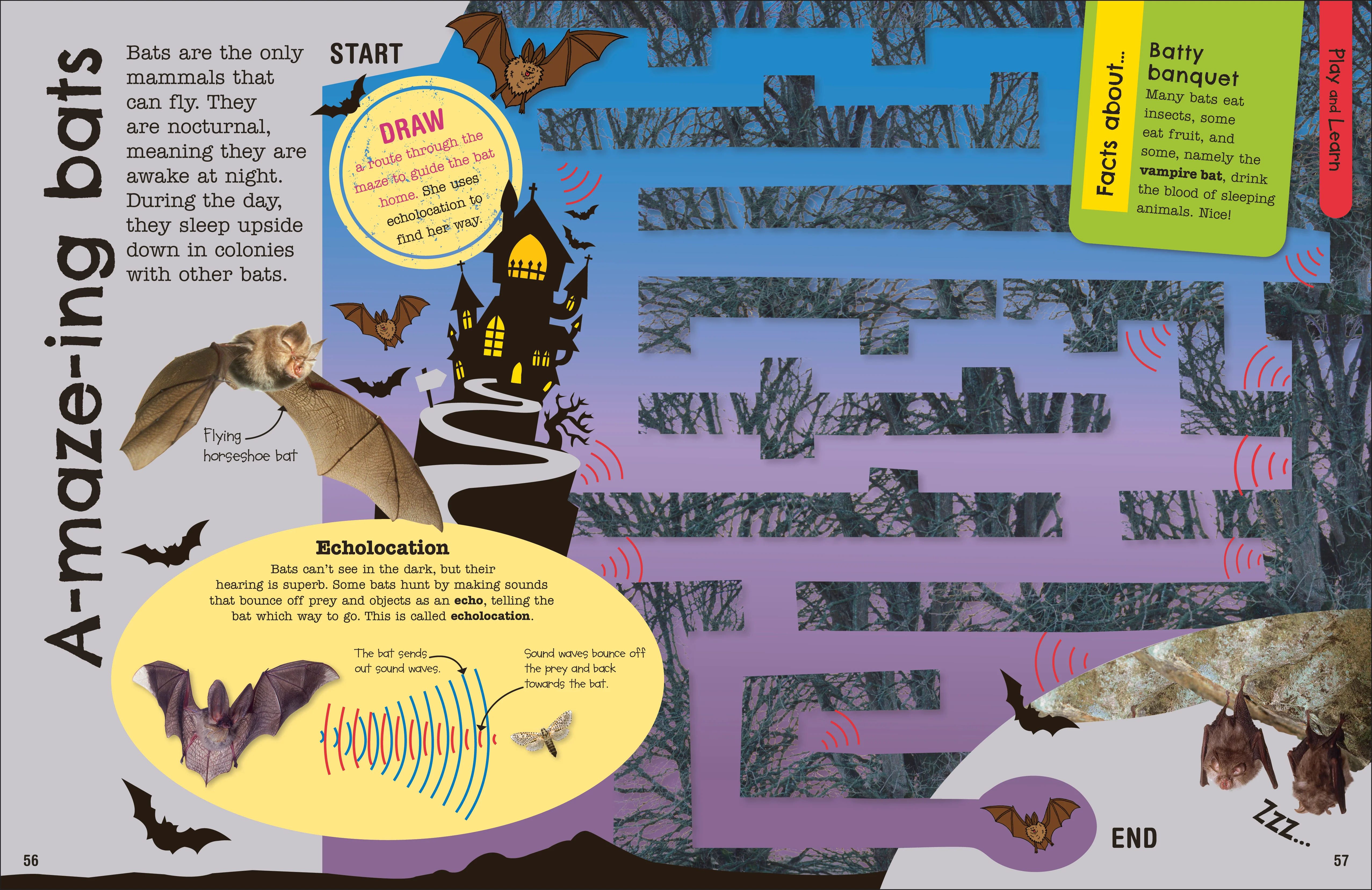 The Fact-Packed Activity Book: Animals - Image 4