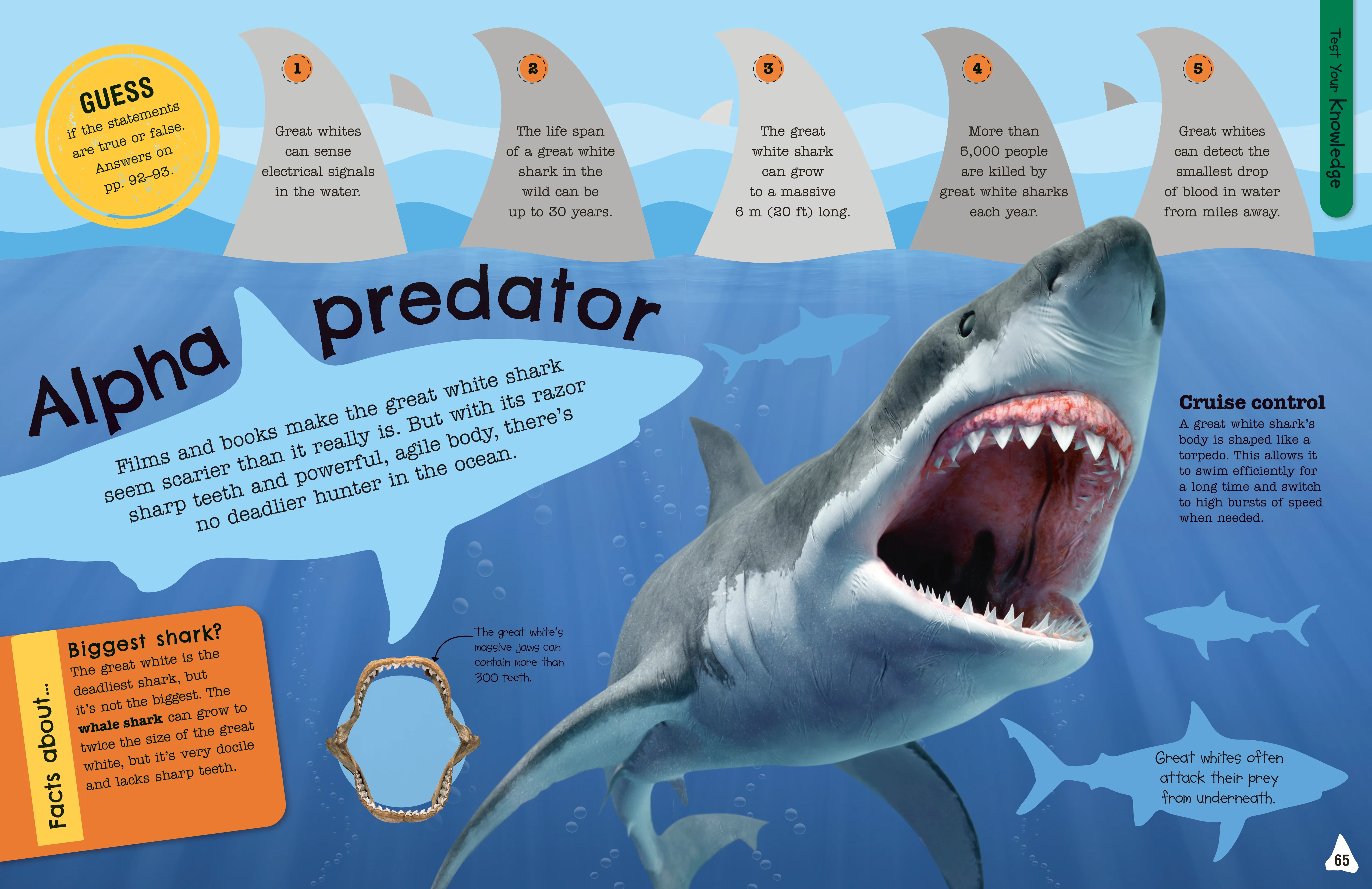 The Fact-Packed Activity Book: Sharks and Other Sea Creatures - Image 3