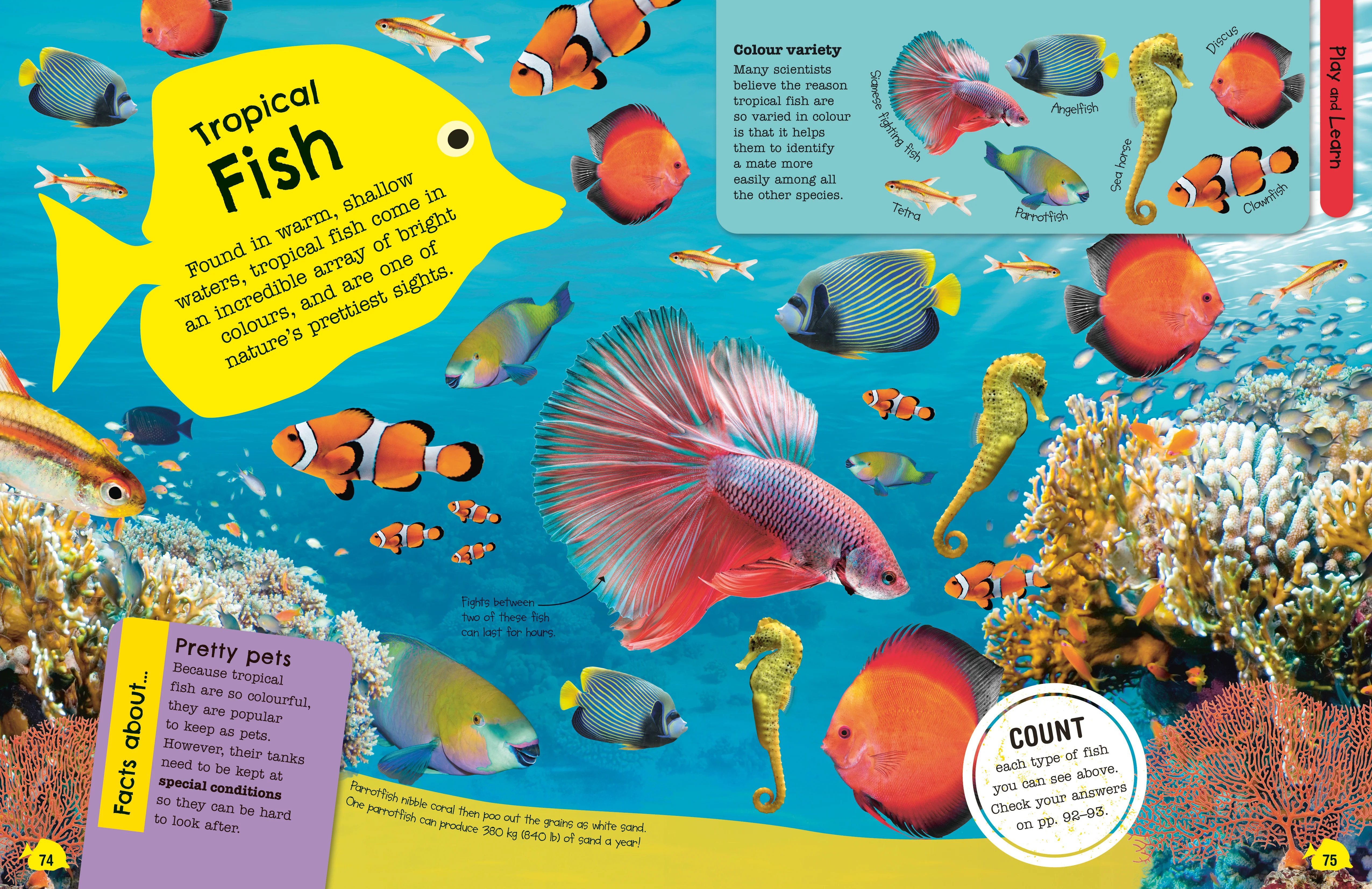 The Fact-Packed Activity Book: Sharks and Other Sea Creatures - Image 4