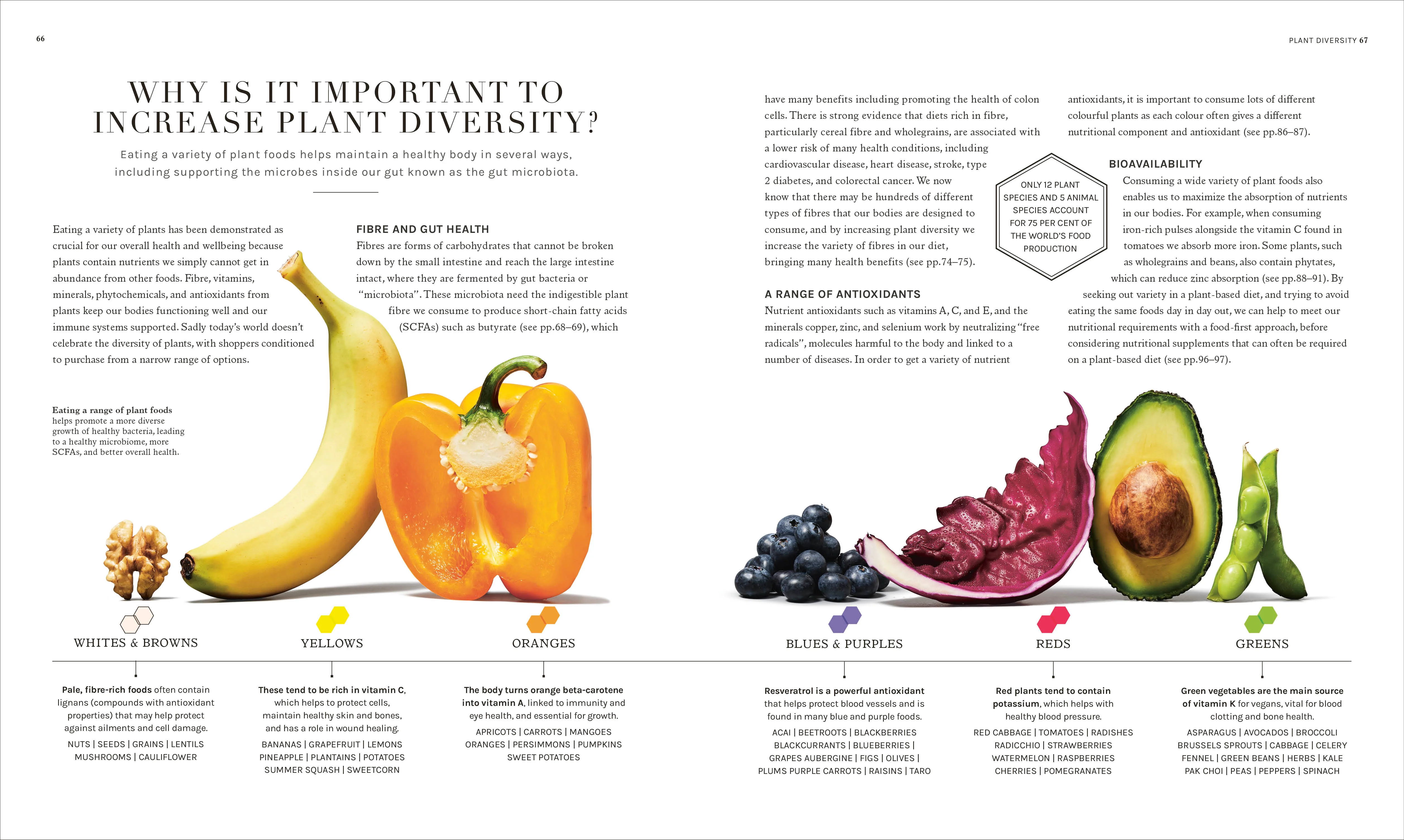 The Science of Plant-based Nutrition - Image 5