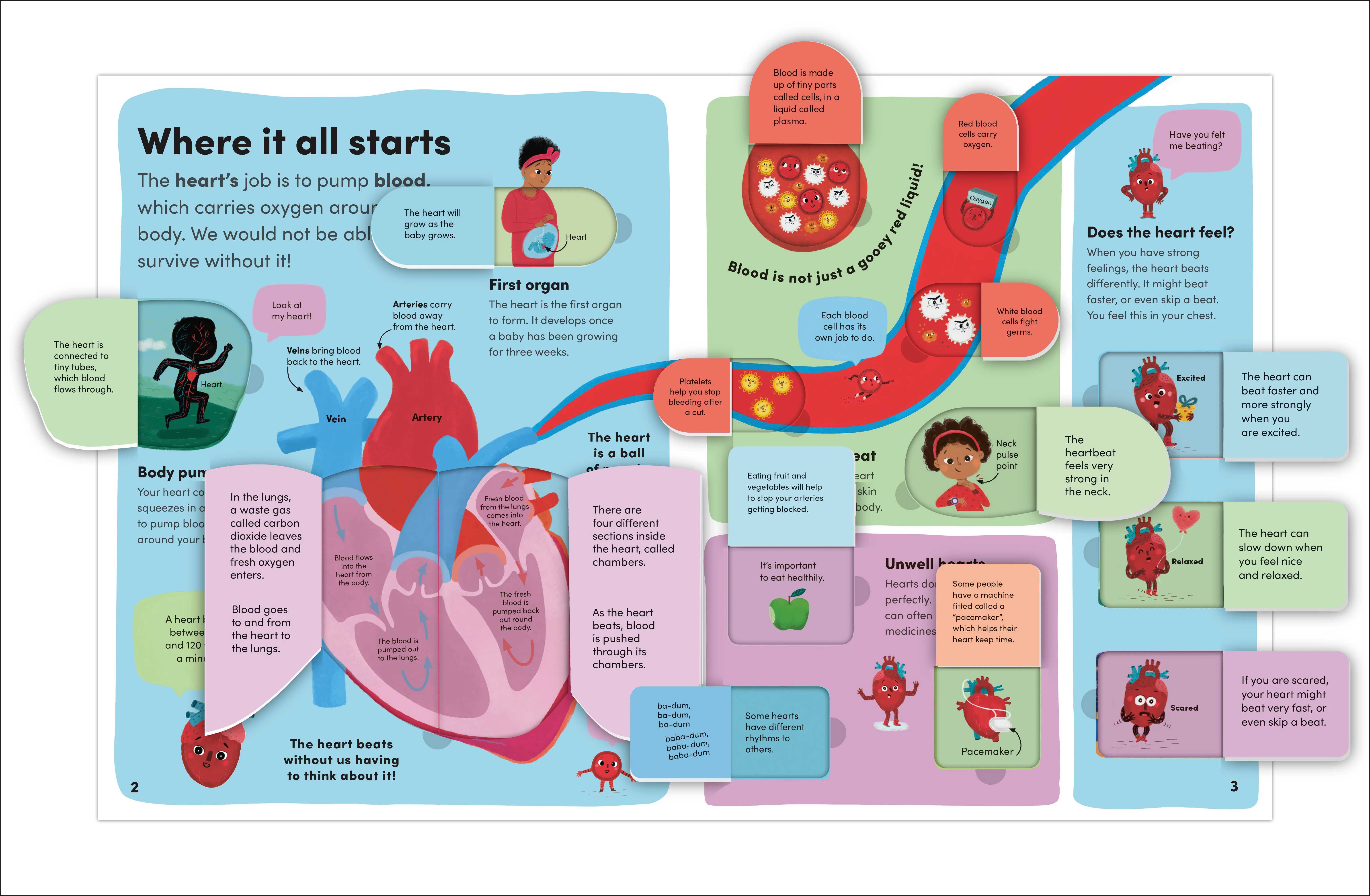 You and Your Body - Image 3