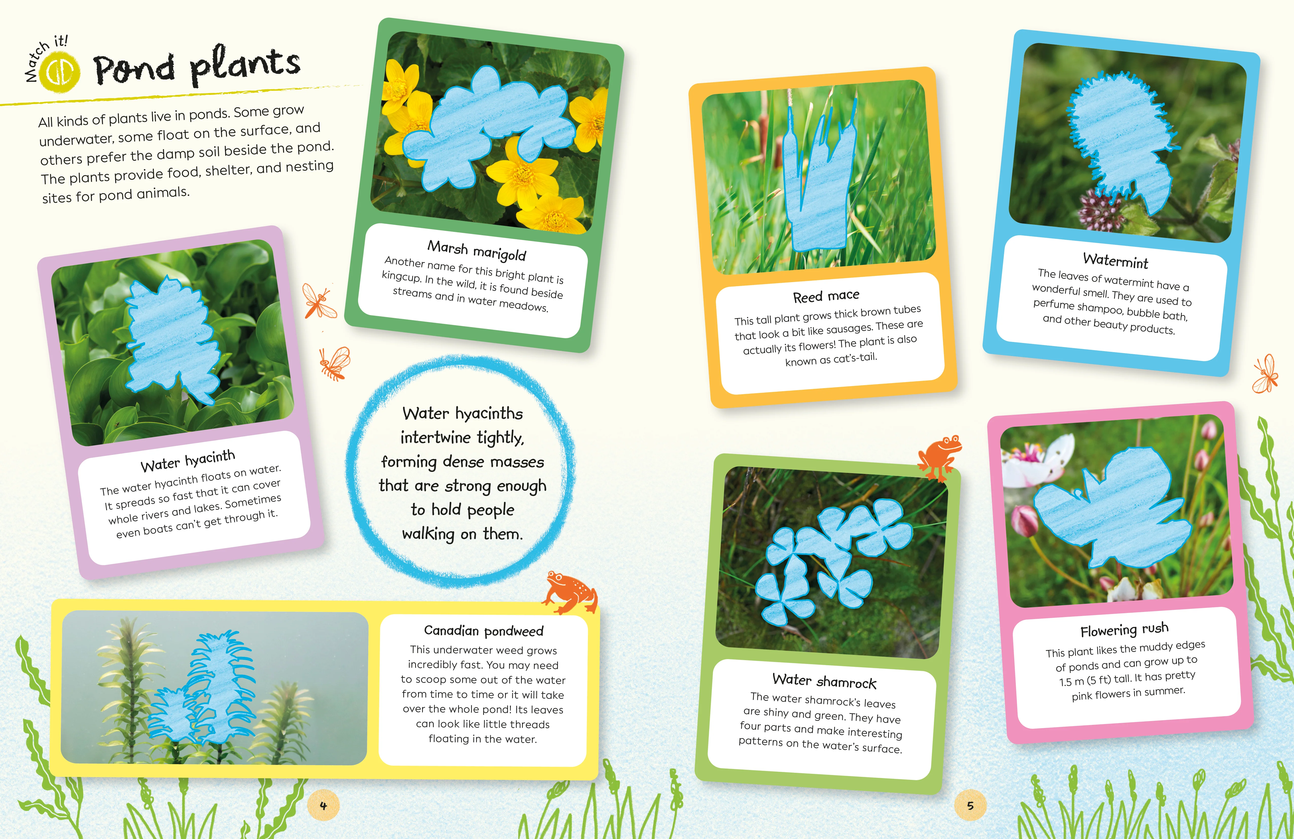 Ultimate Sticker Book Garden Pond - Image 3