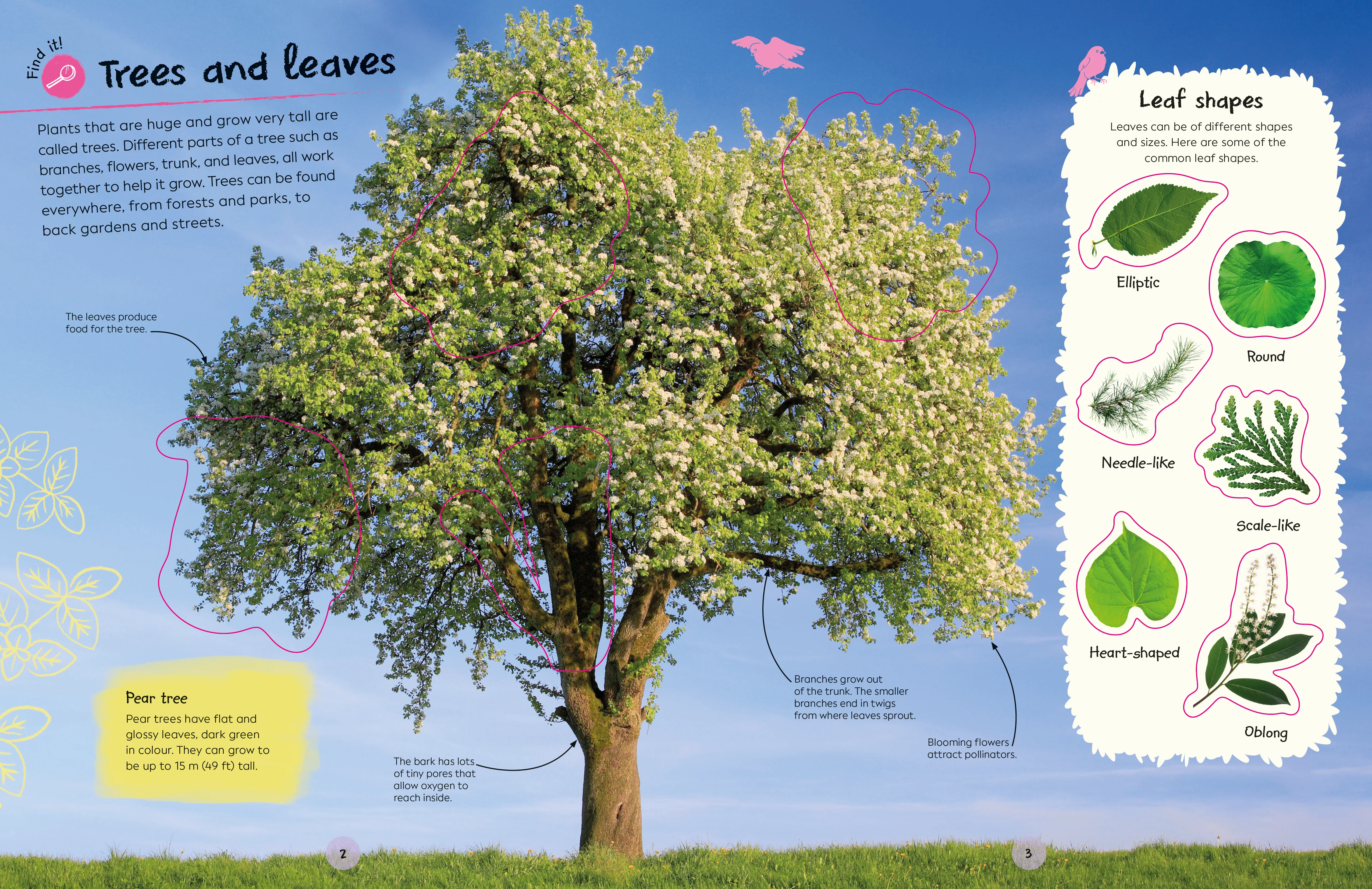 Ultimate Sticker Book Trees and Leaves - Image 2