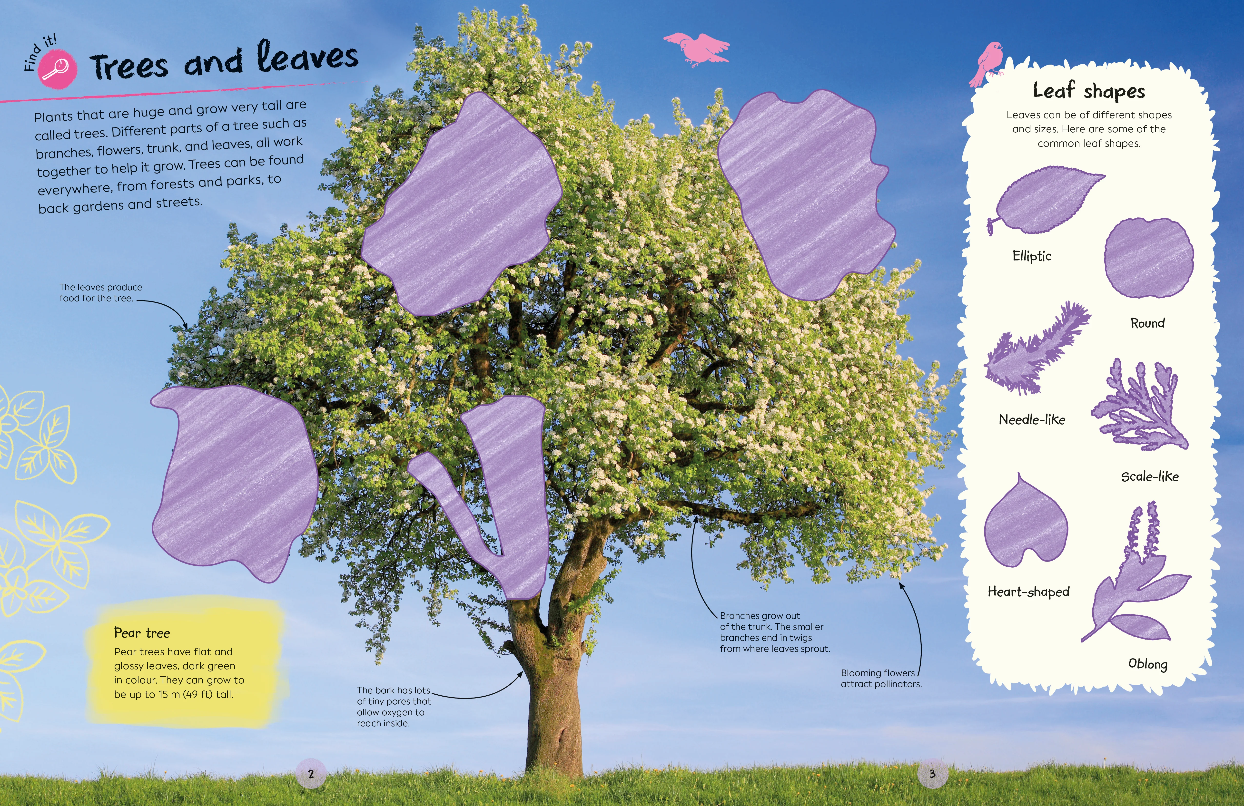 Ultimate Sticker Book Trees and Leaves - Image 3
