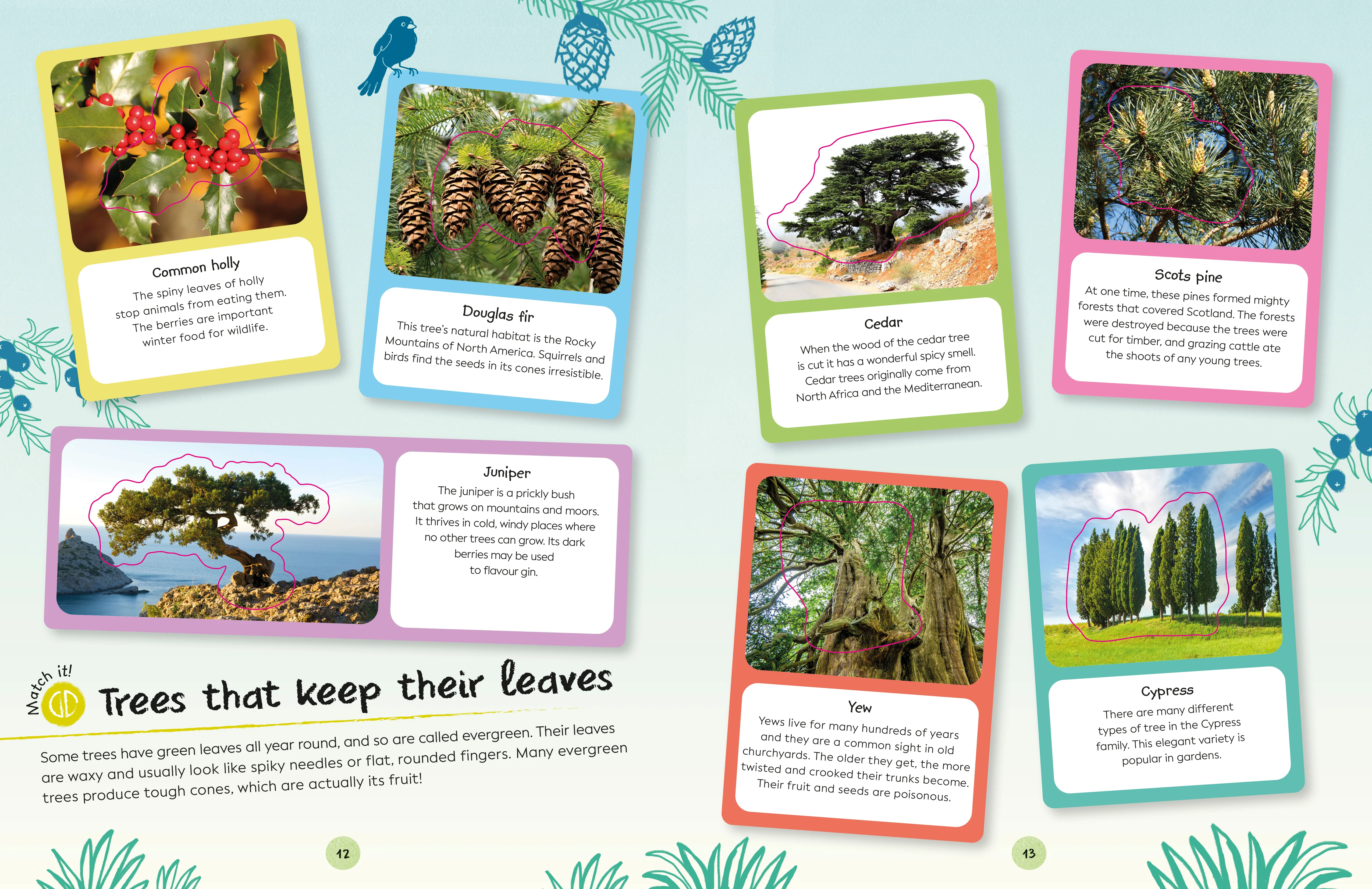 Ultimate Sticker Book Trees and Leaves - Image 4