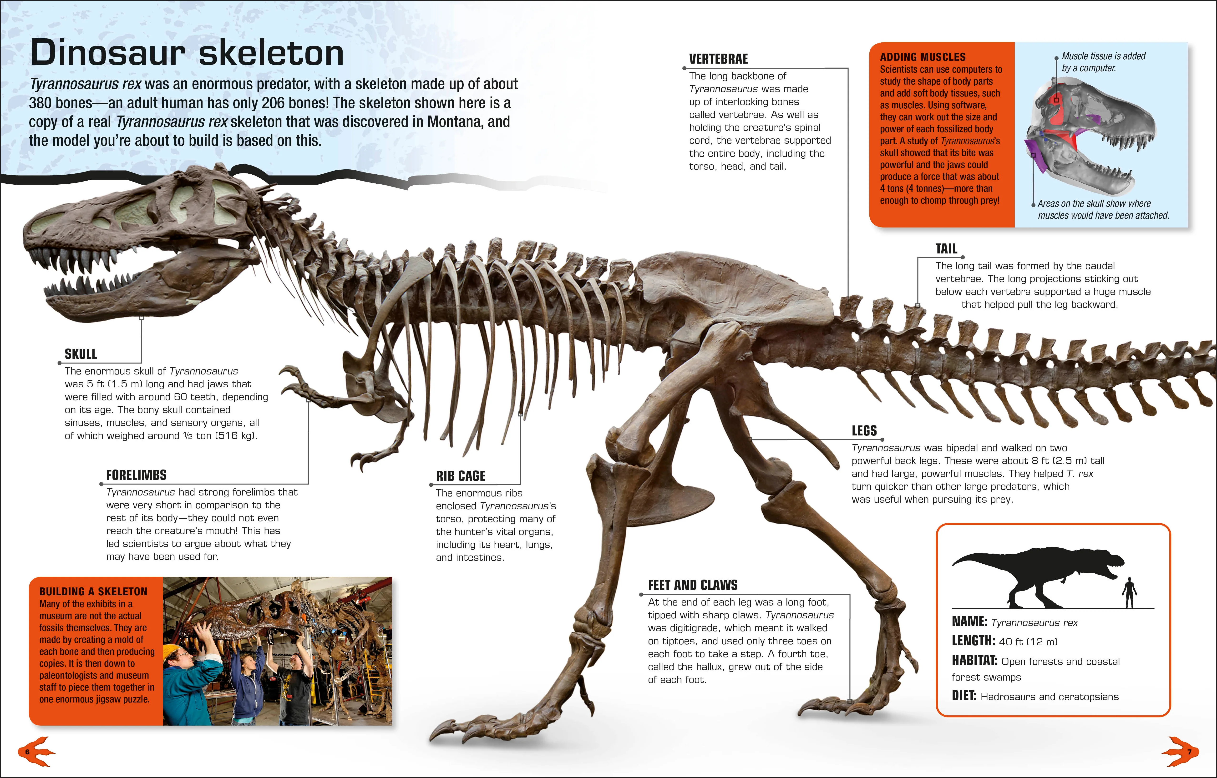 Make Your Own T. Rex - Image 2