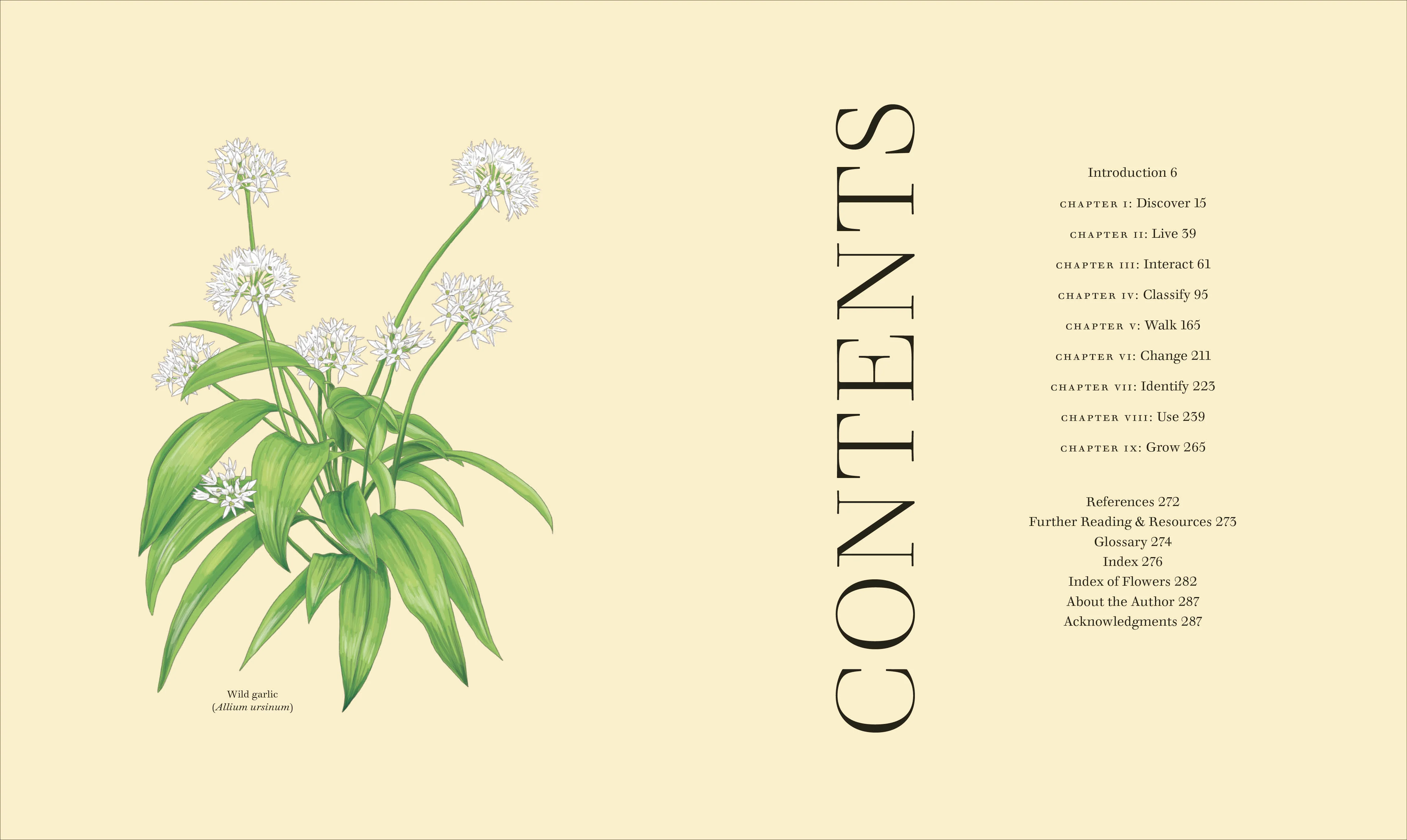 Wildflowers - Image 2