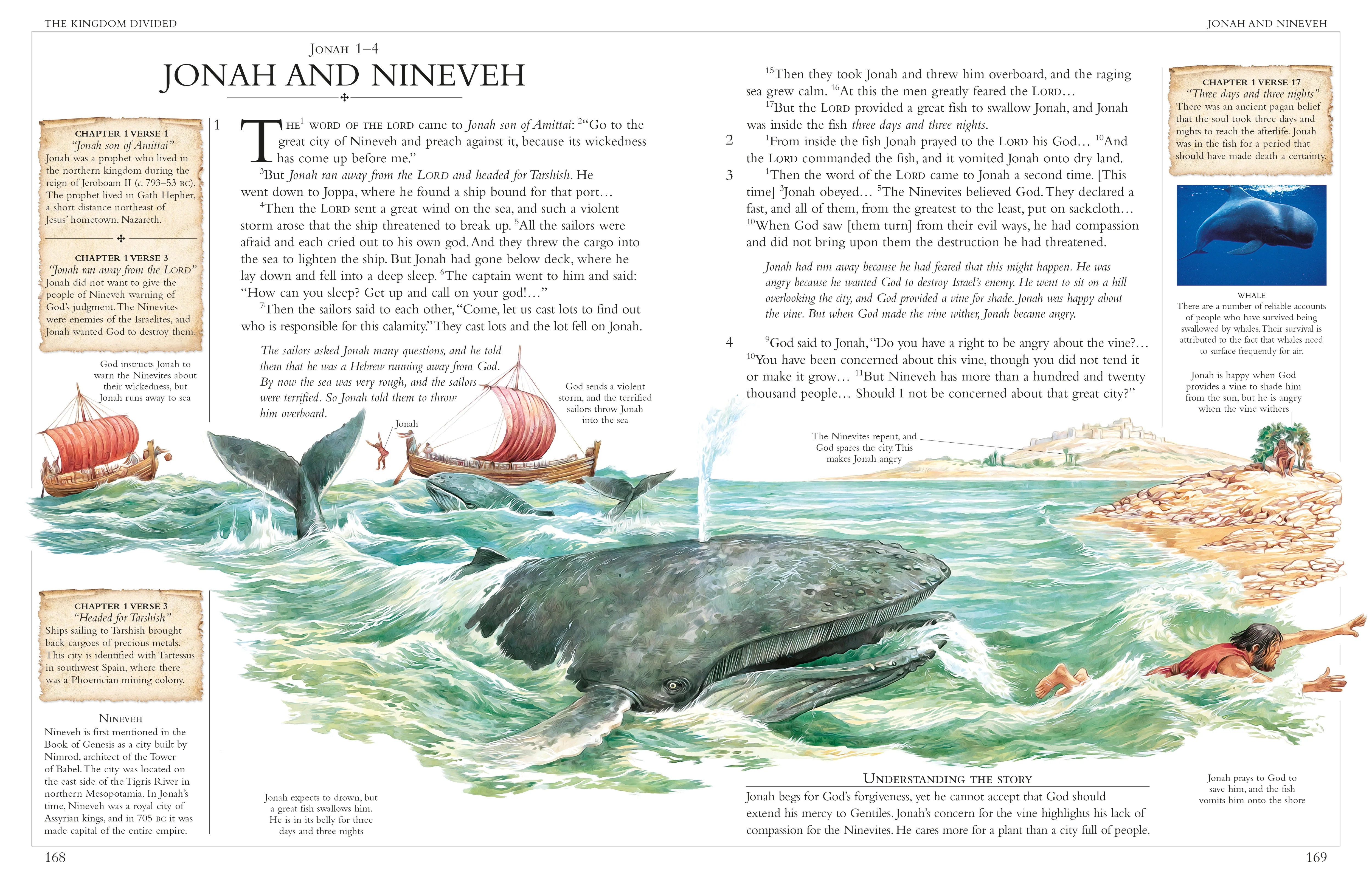 Illustrated Family Bible - Image 3