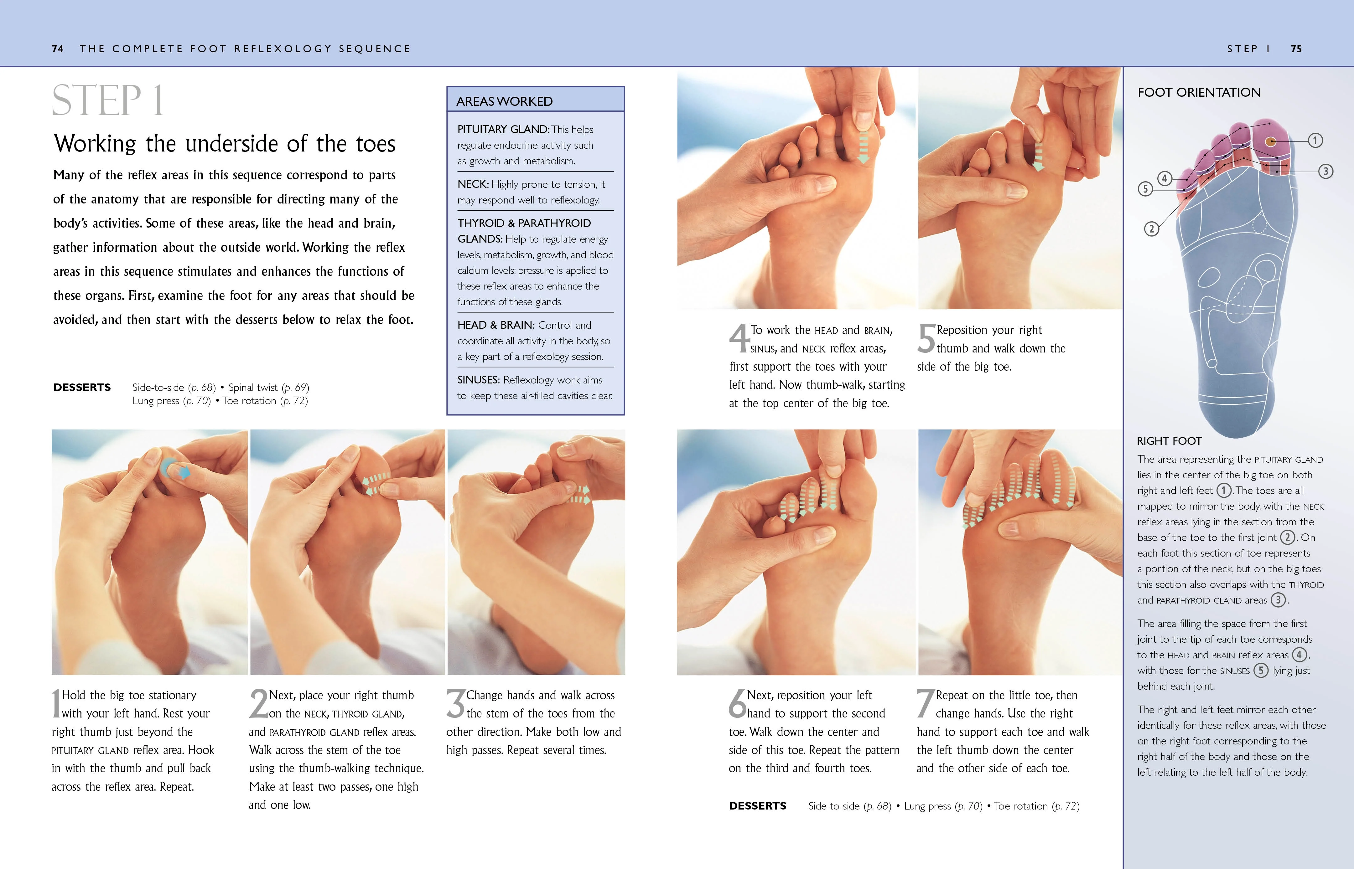 Reflexology - Image 2