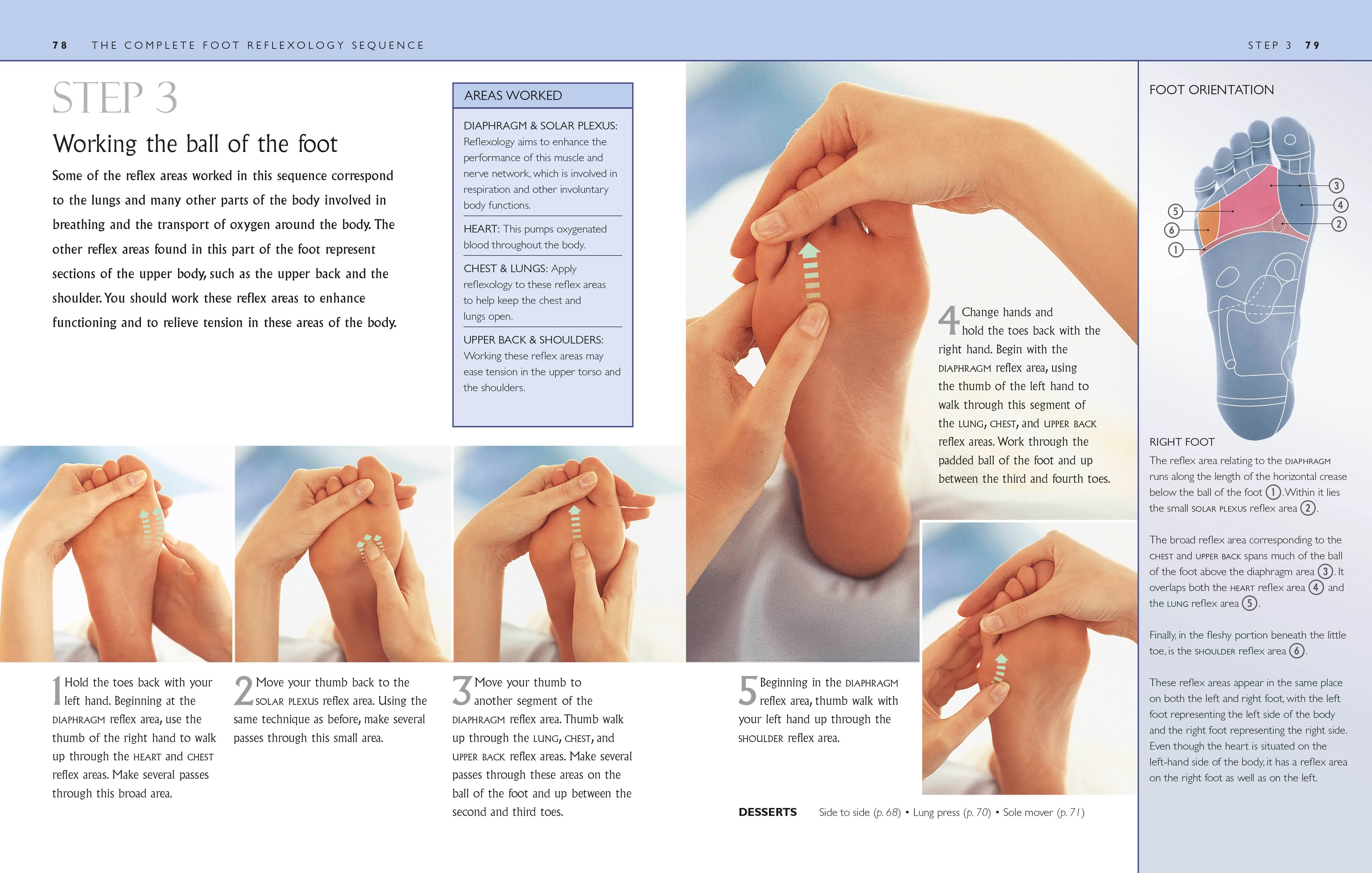 Reflexology - Image 5