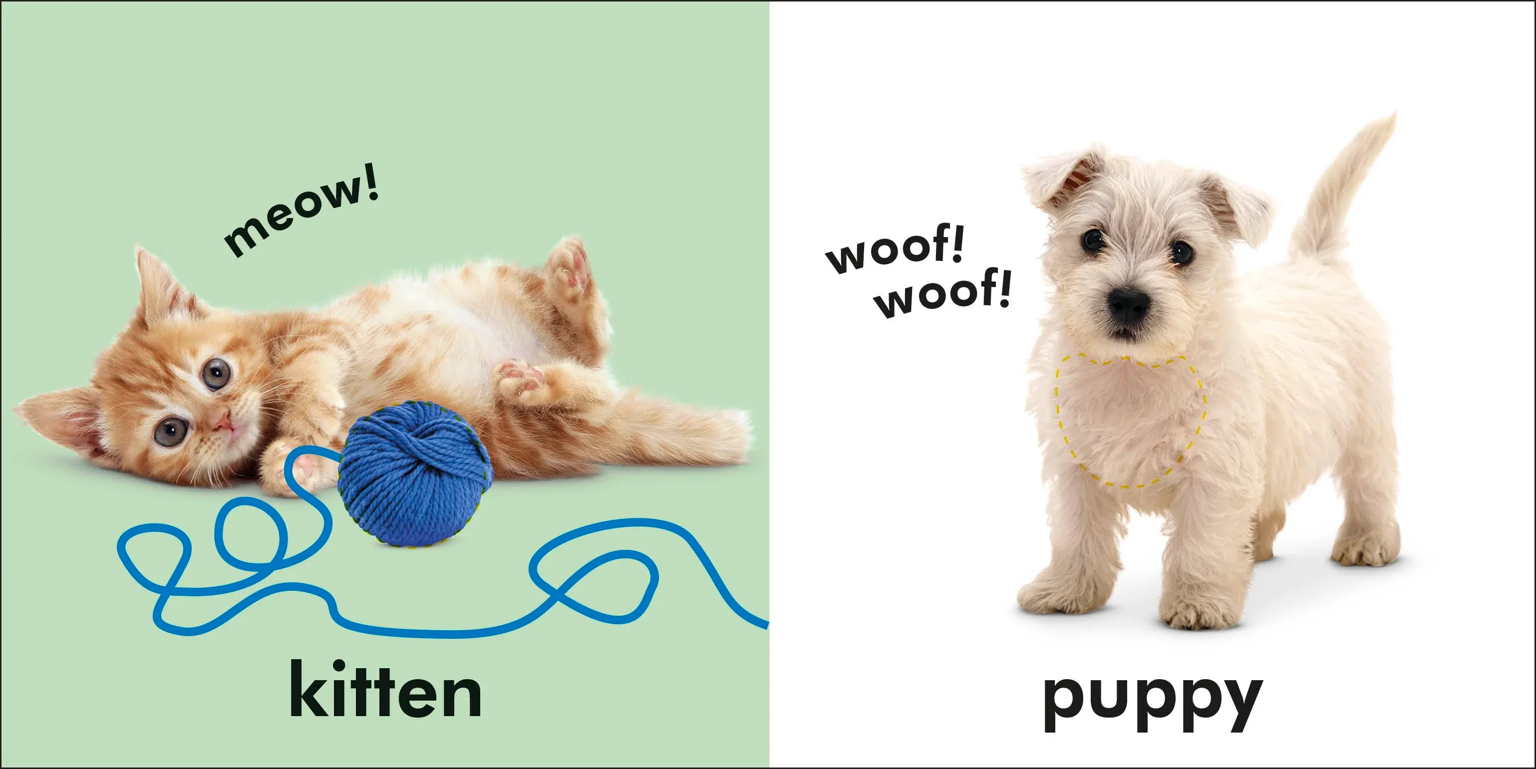 Baby Touch and Feel Animals - Image 2