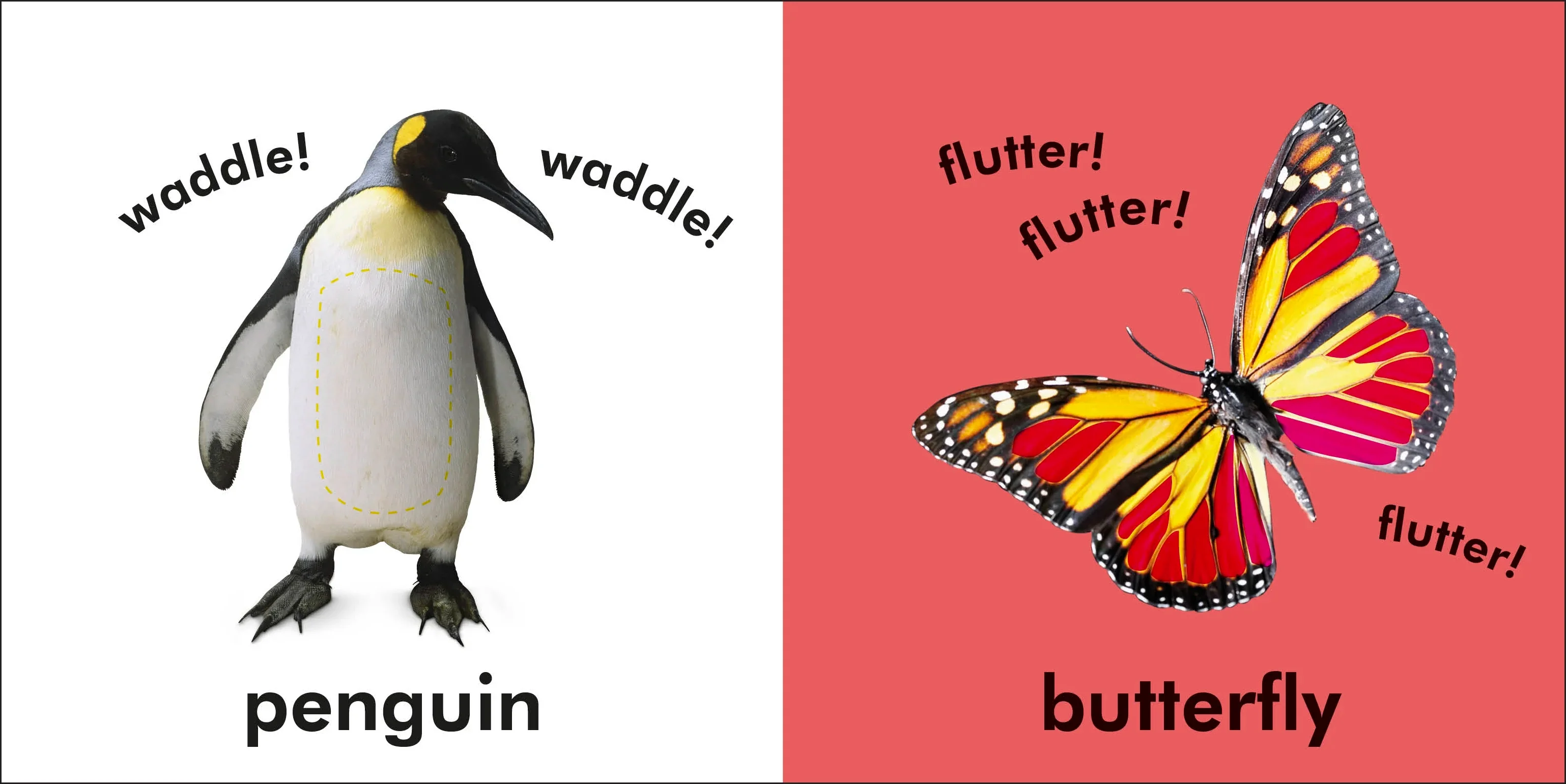 Baby Touch and Feel Animals - Image 3