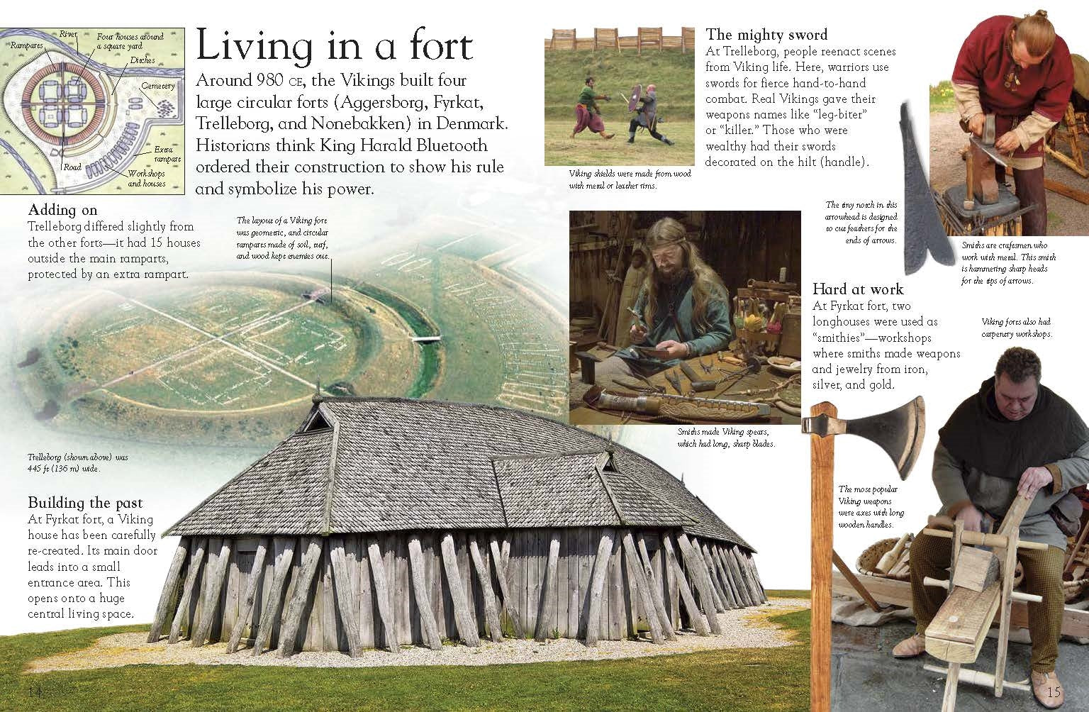 Eye Wonder: Vikings - Image 3