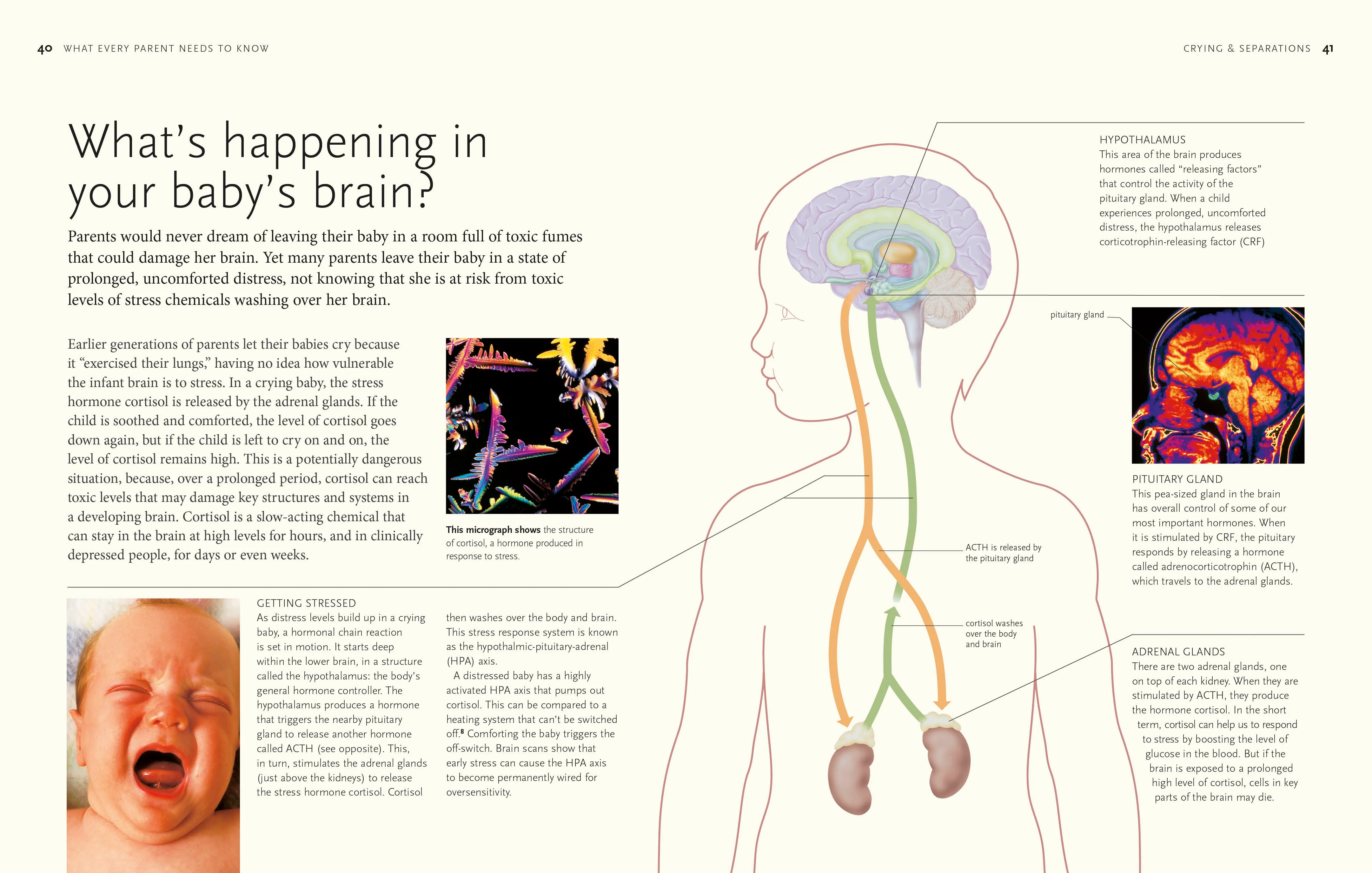 The Science of Parenting - Image 2