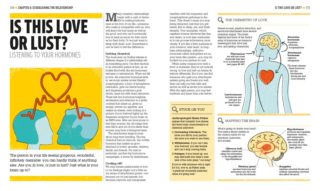 Love: The Psychology of Attraction - Image 4