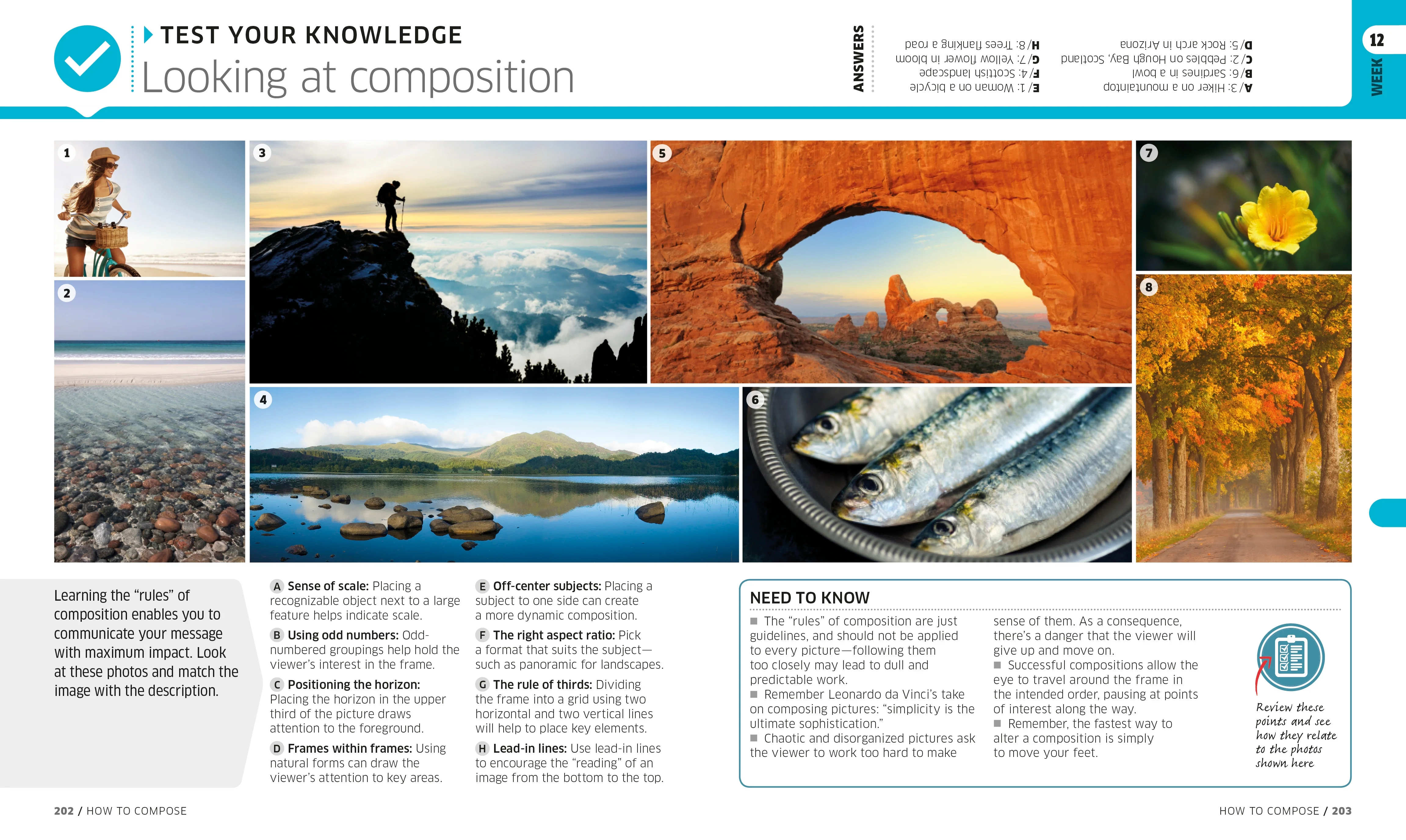 Digital Photography Complete Course - Image 4