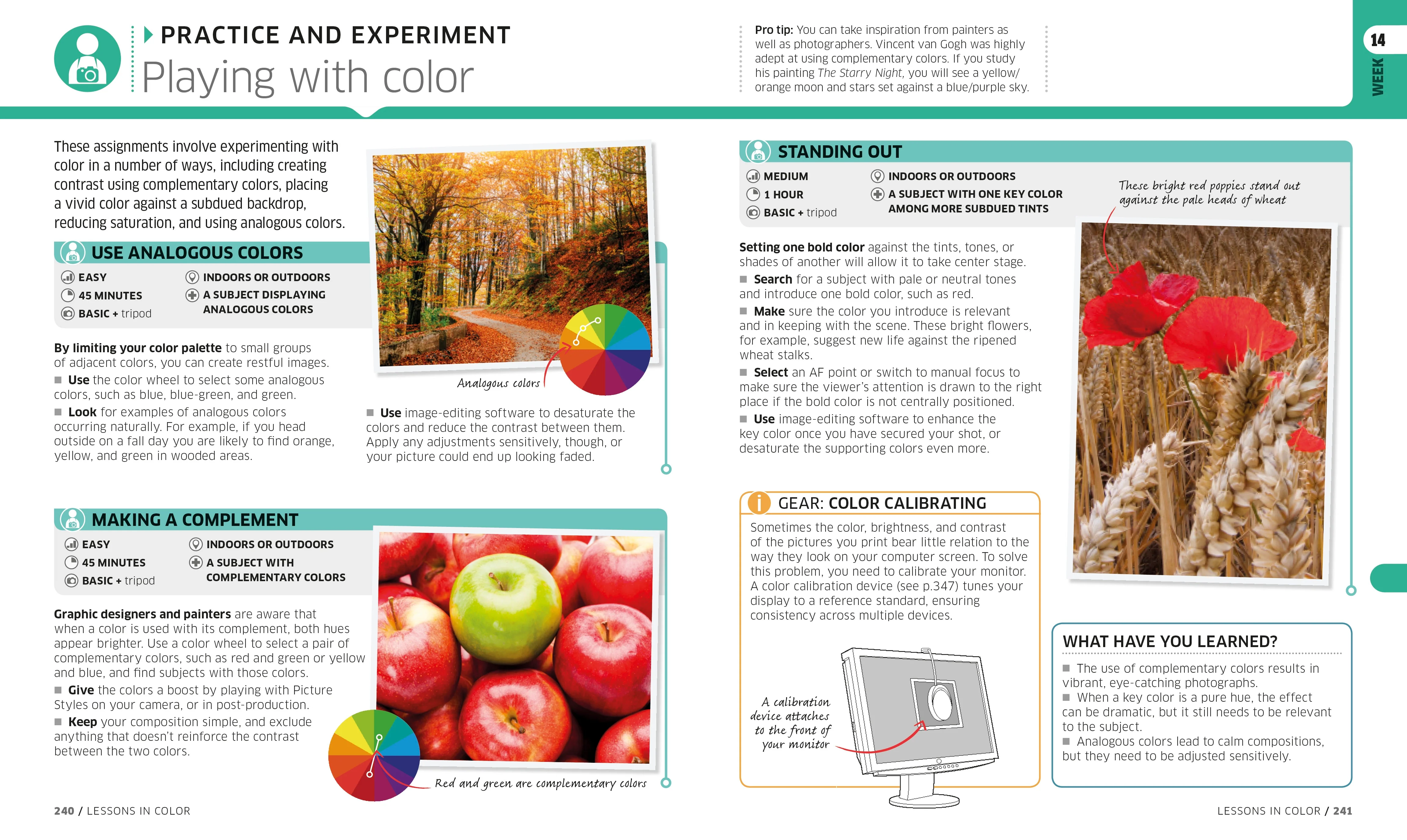 Digital Photography Complete Course - Image 5