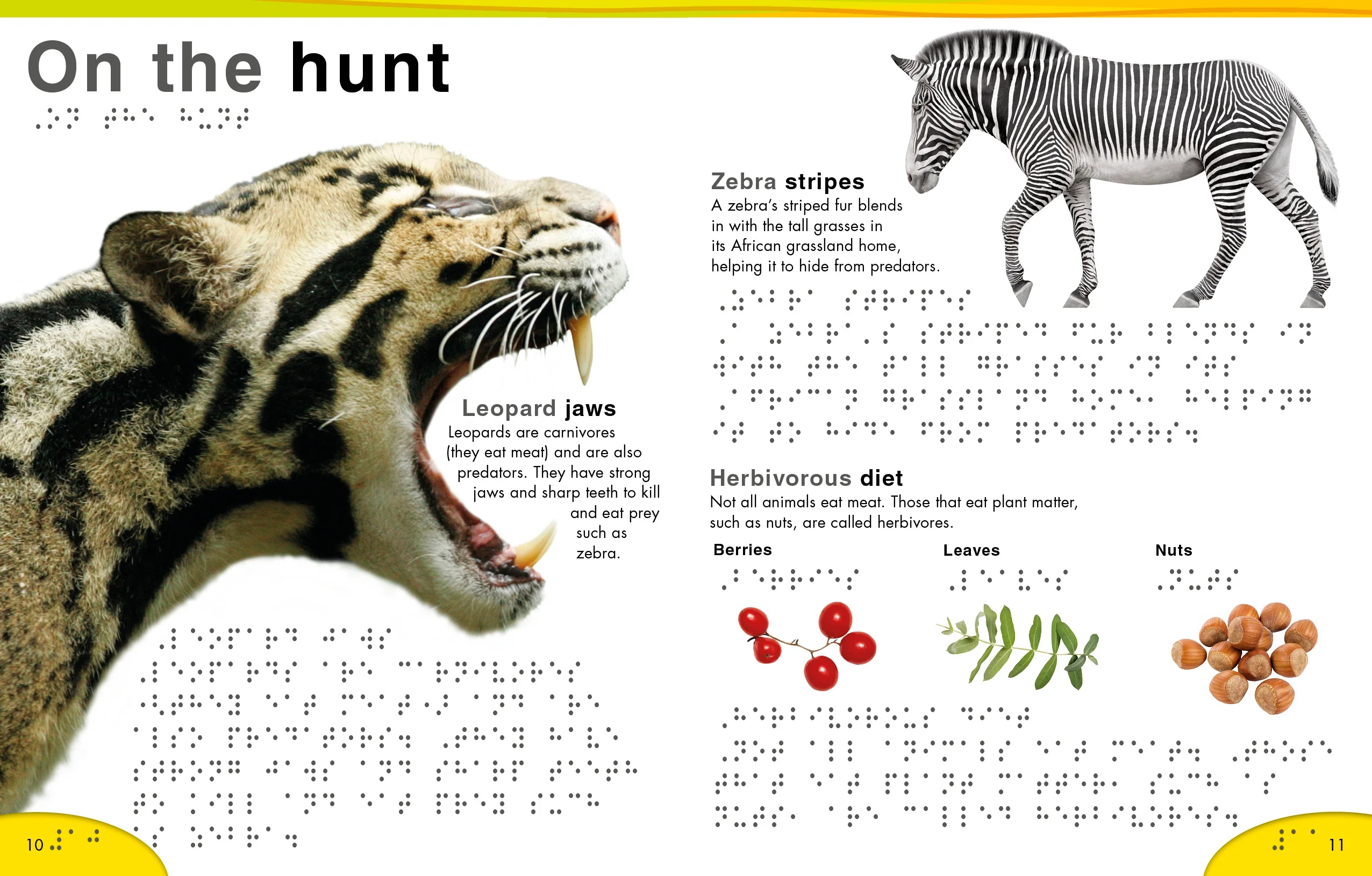 DK Braille: Animals - Image 2