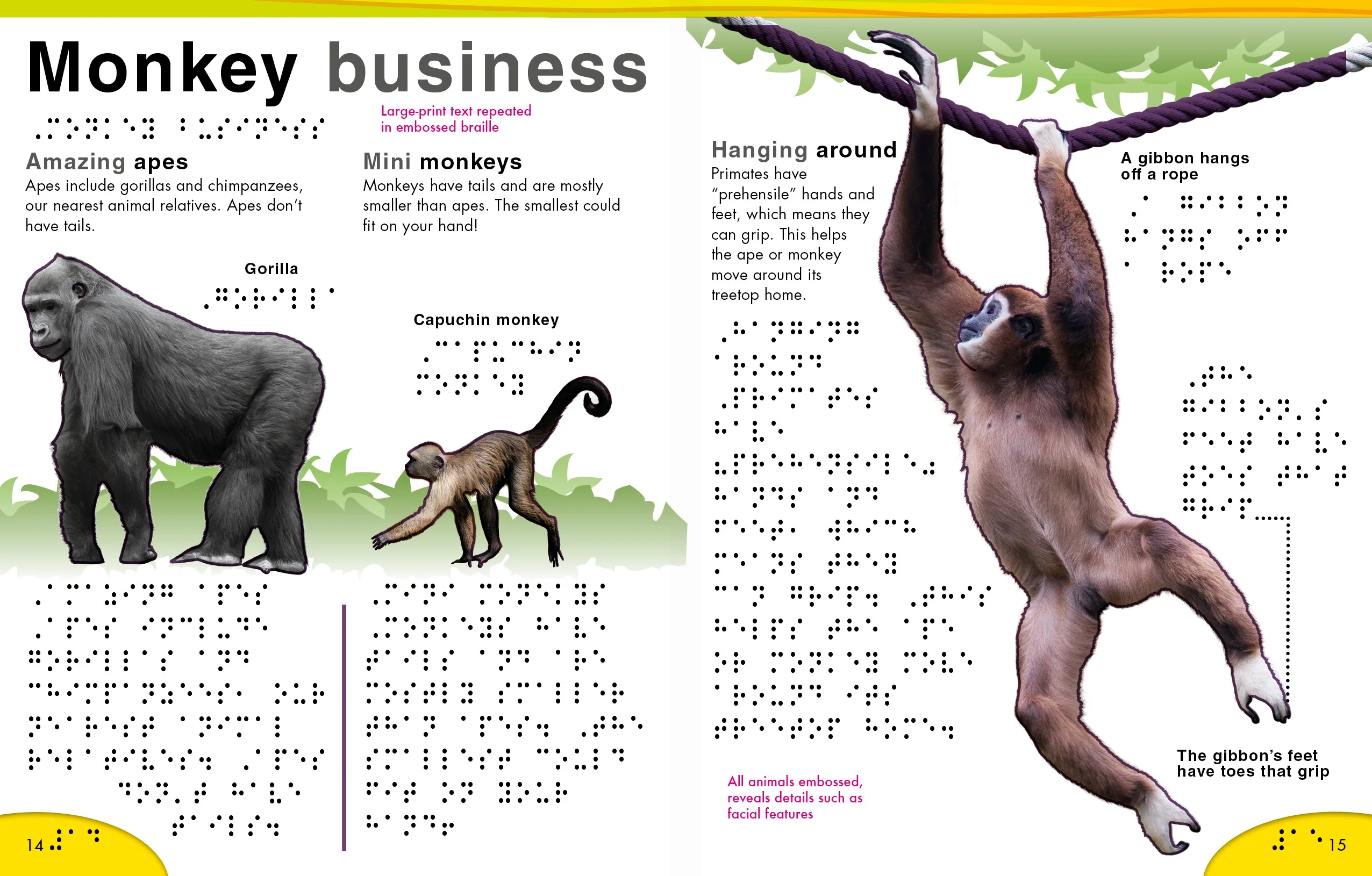DK Braille: Animals - Image 3