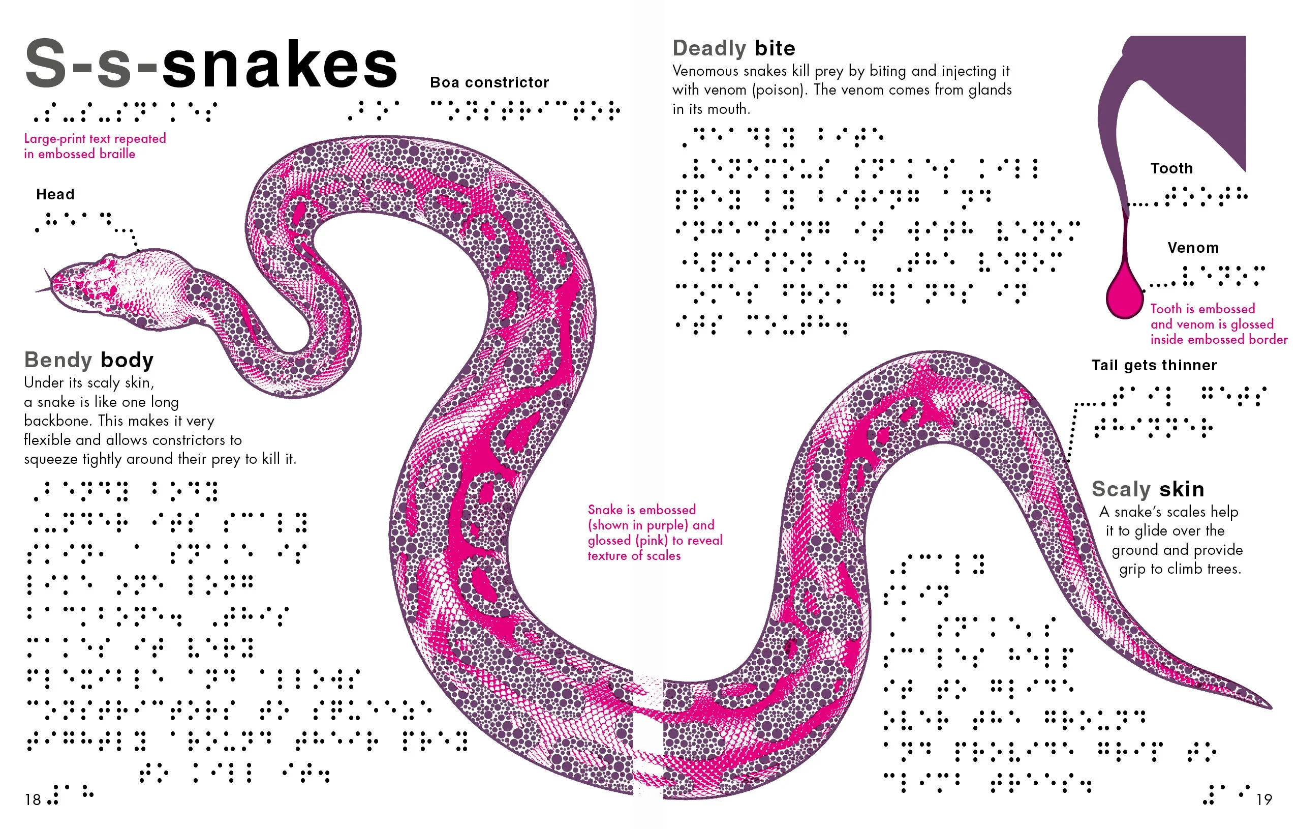 DK Braille: Animals - Image 5