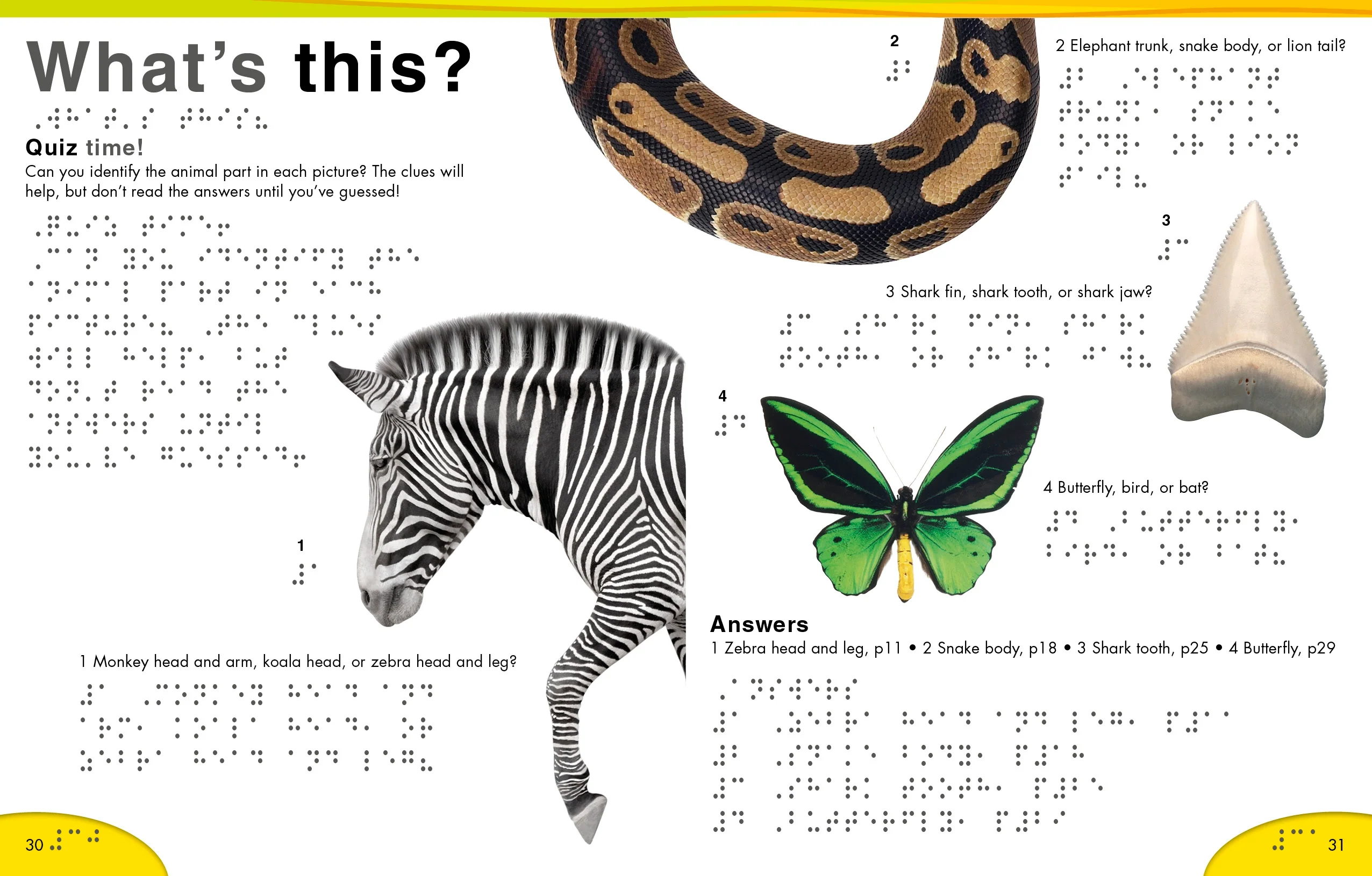 DK Braille: Animals - Image 6