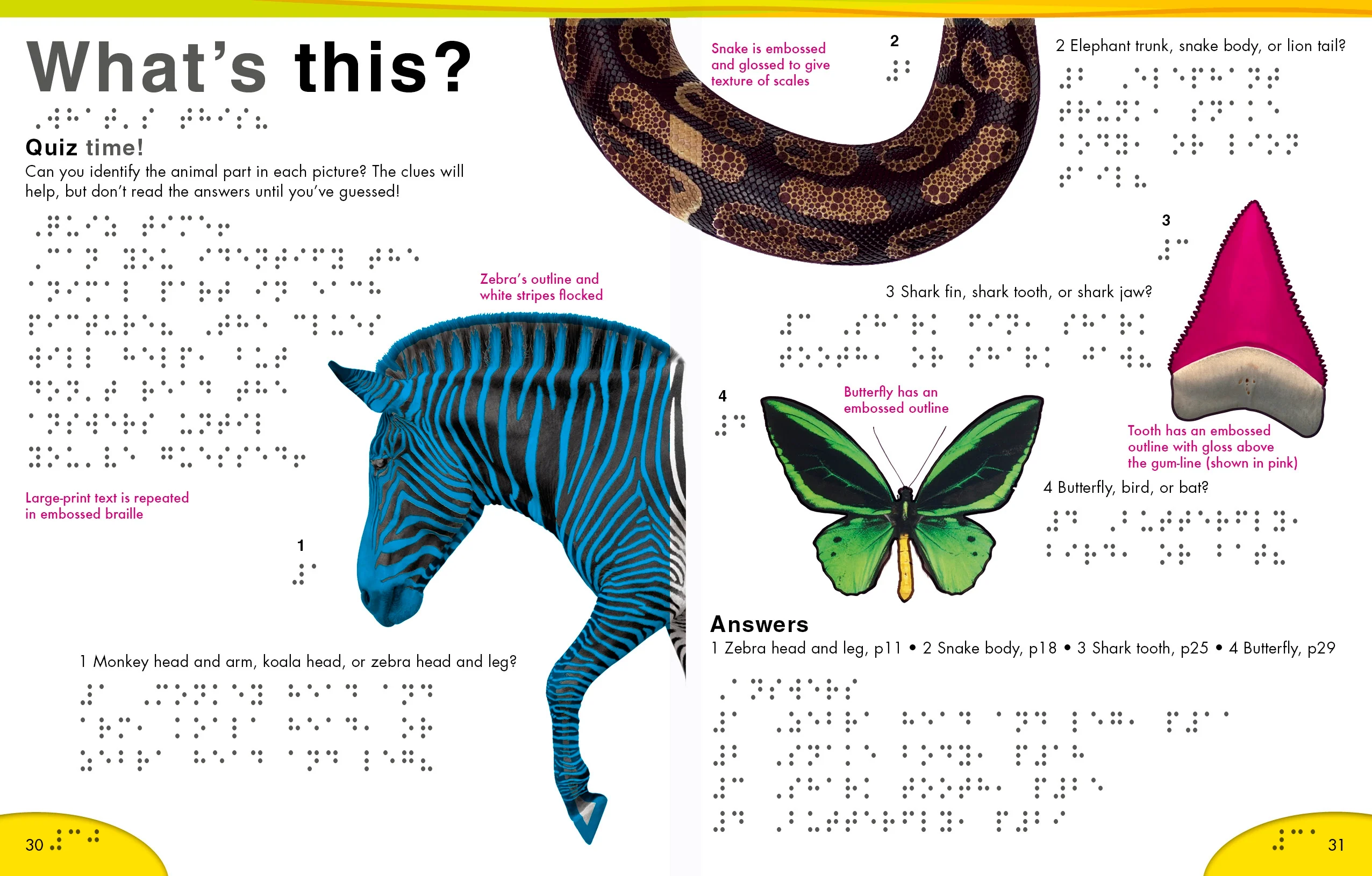 DK Braille: Animals - Image 7